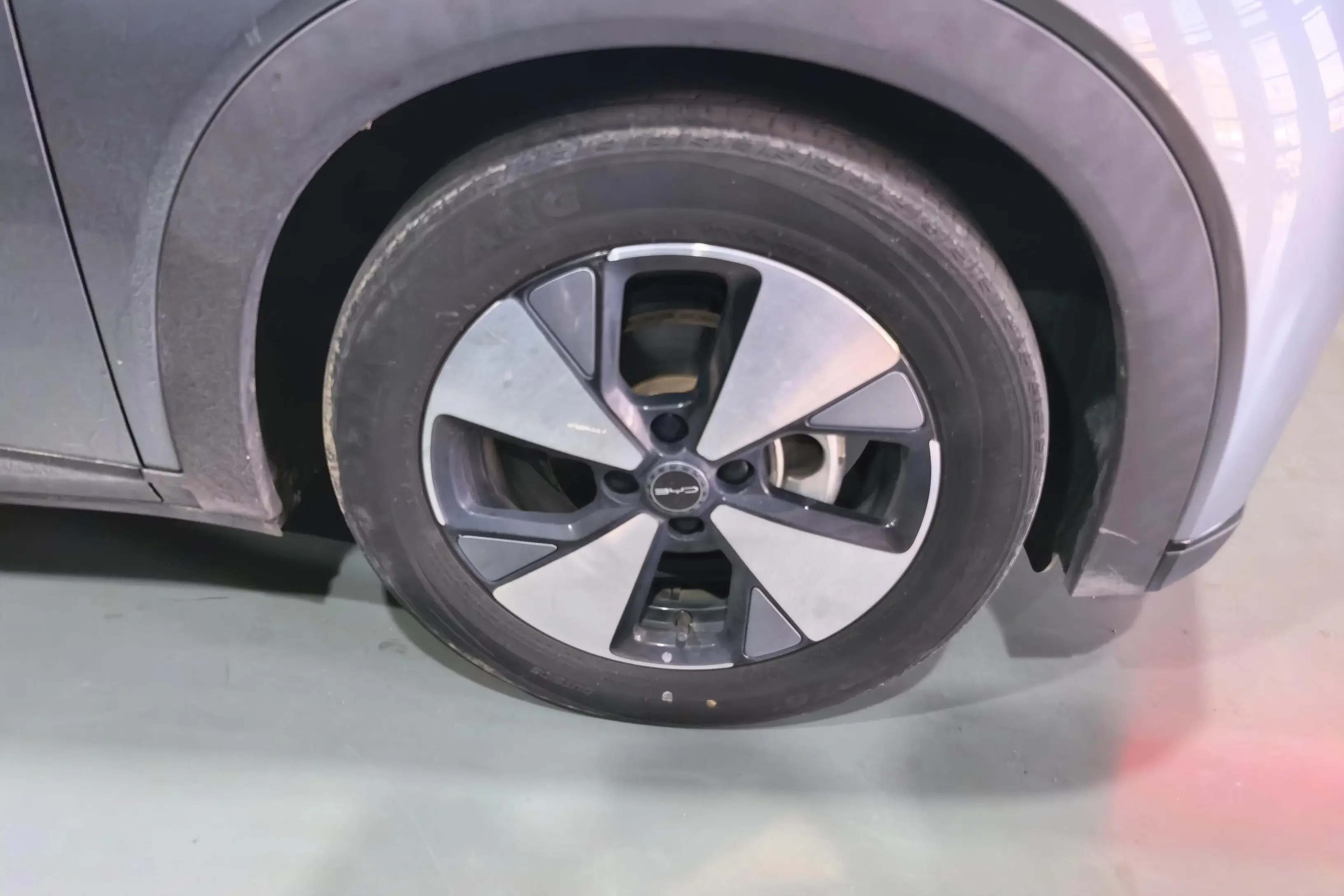 BYD Dolphin