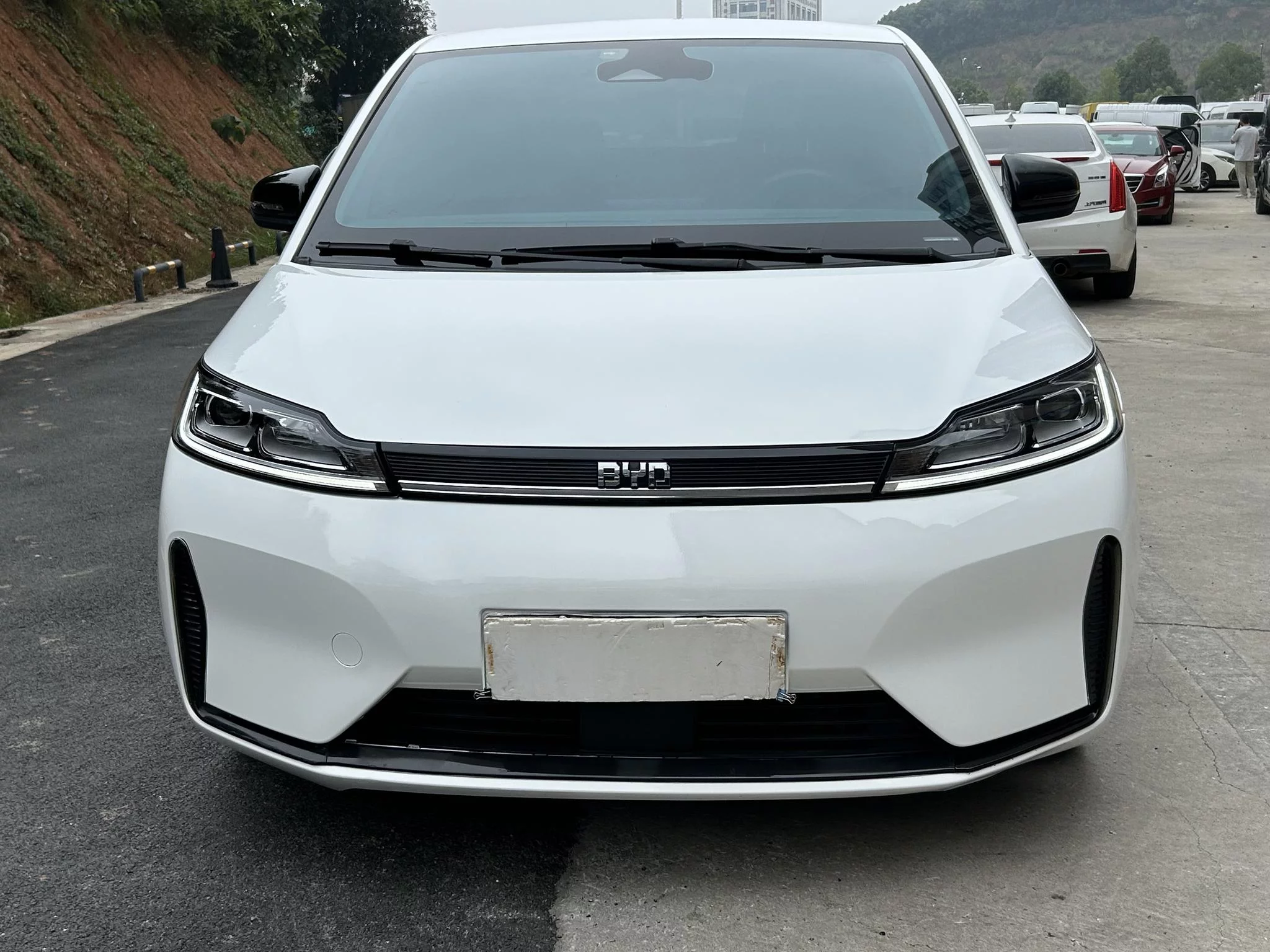 BYD D1