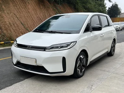 BYD D1