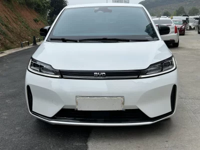 BYD D1