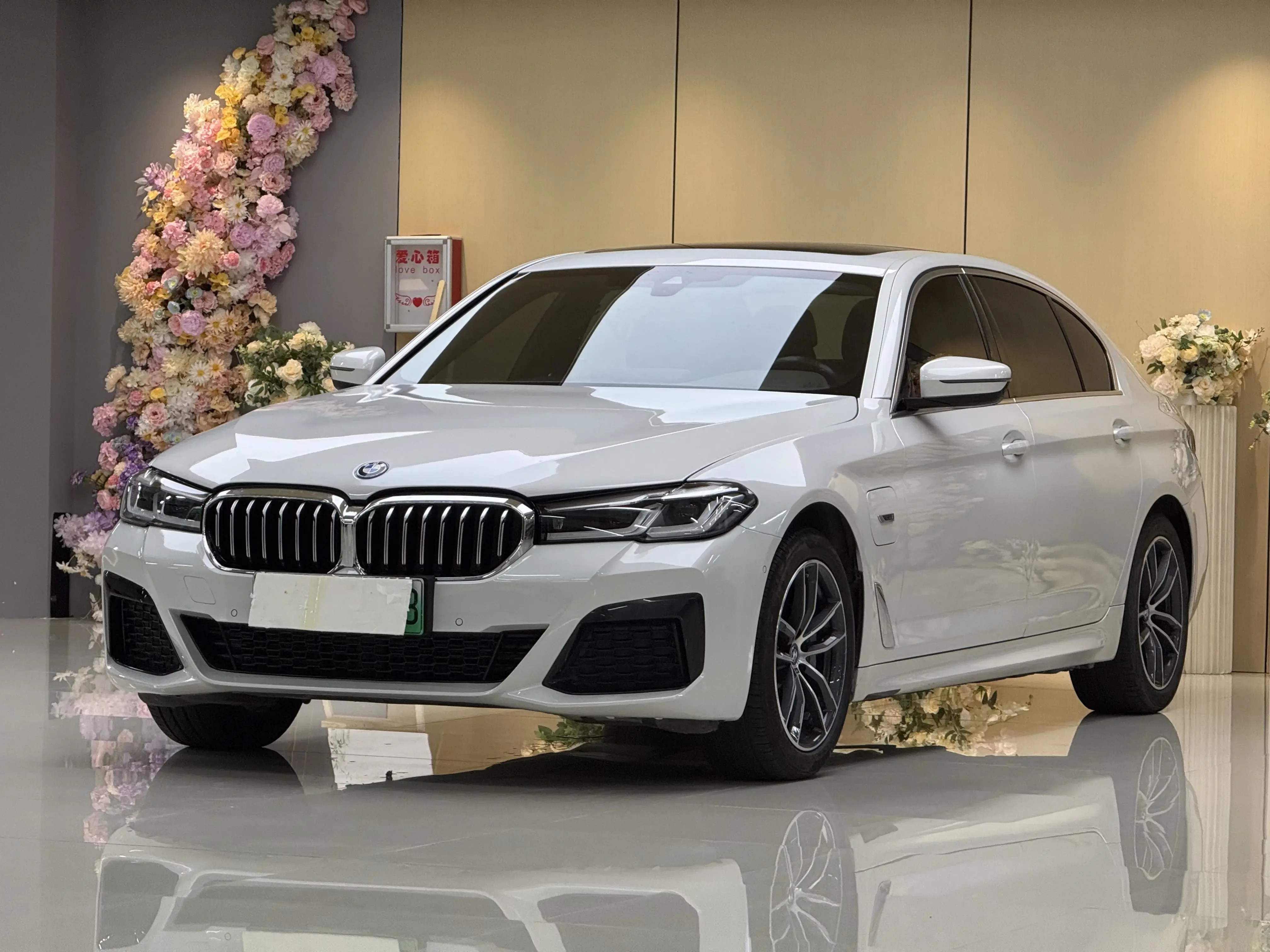 BMW 5 Series PHEV