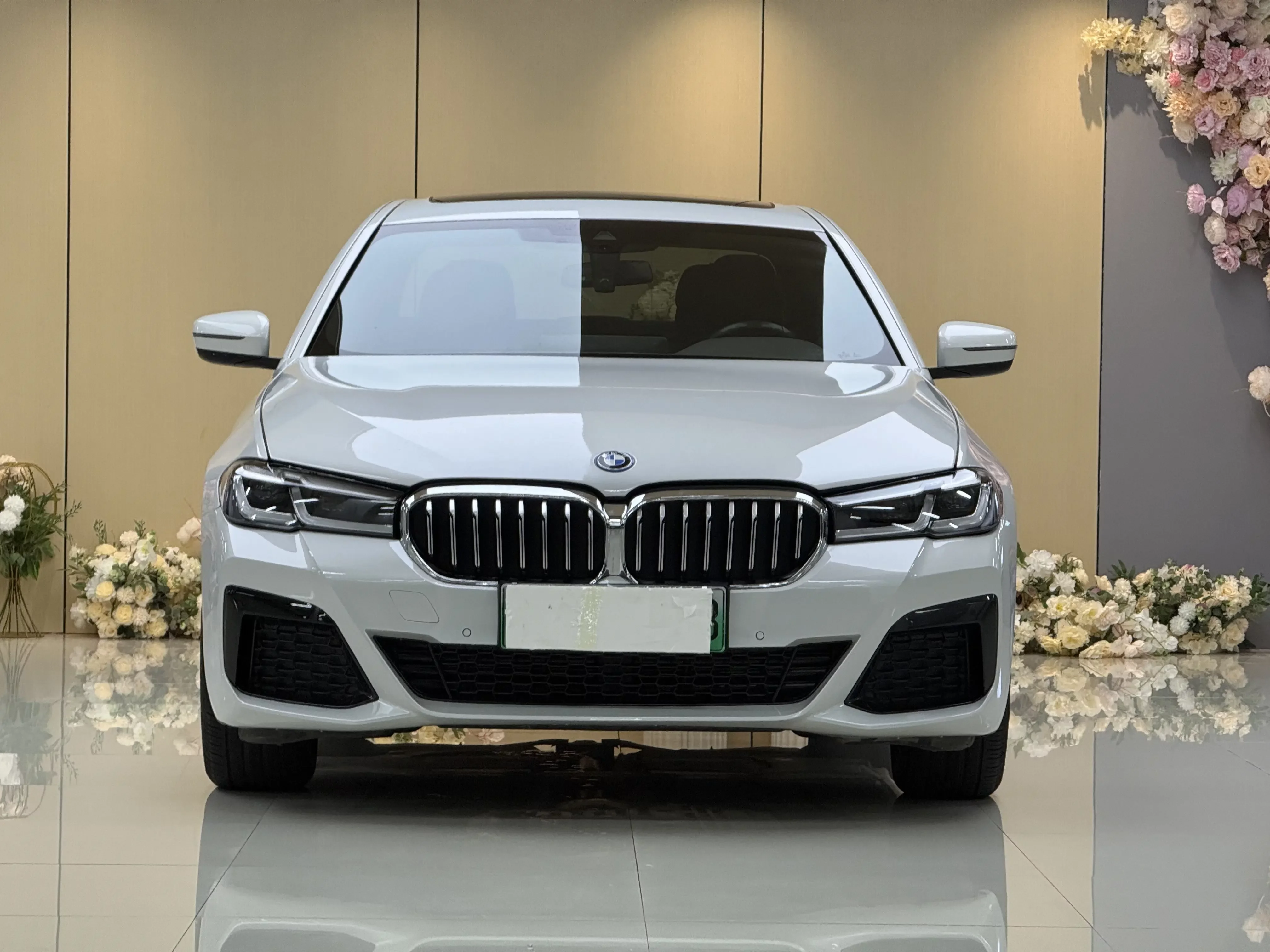 BMW 5 Series PHEV