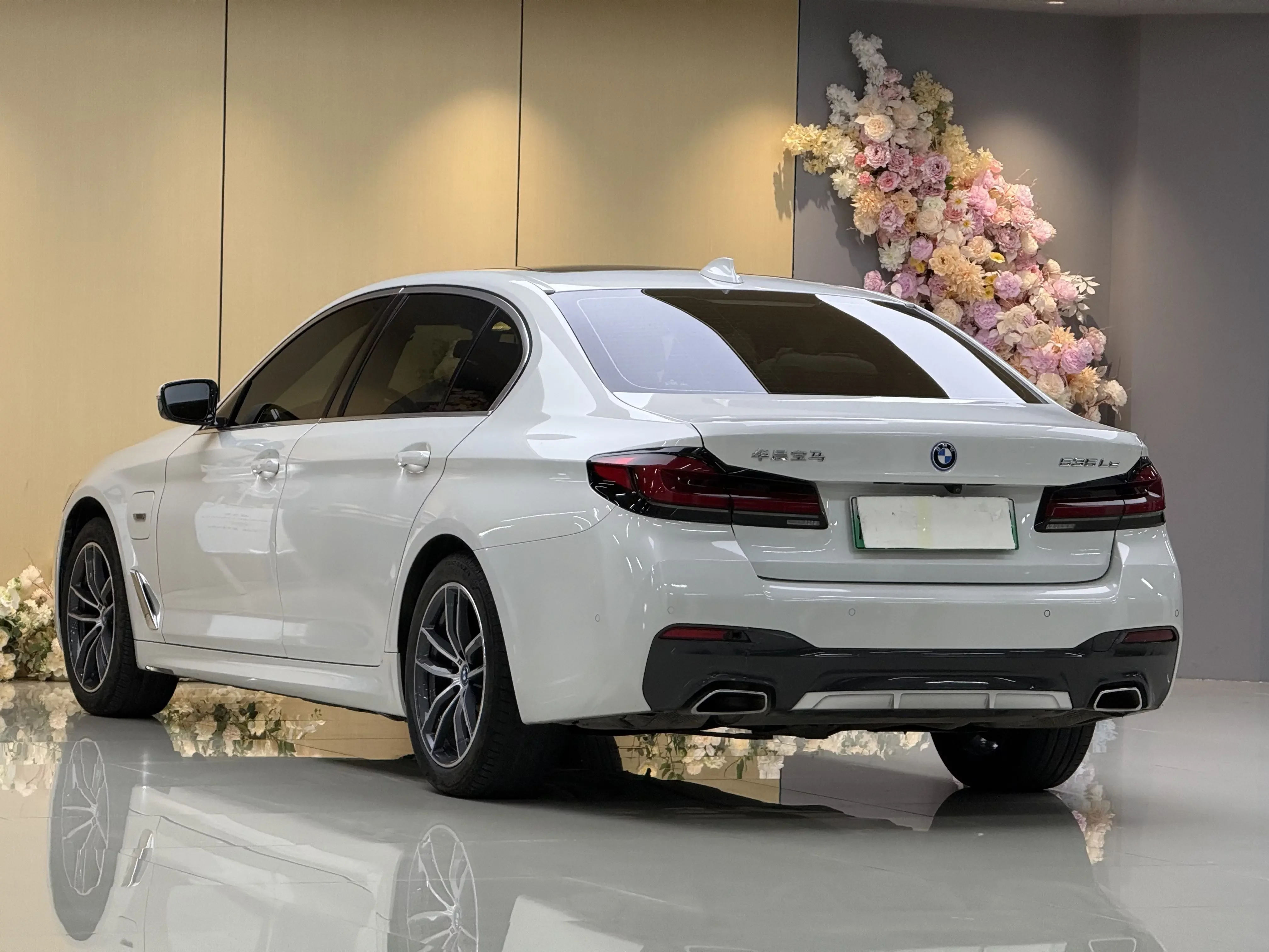 BMW 5 Series PHEV