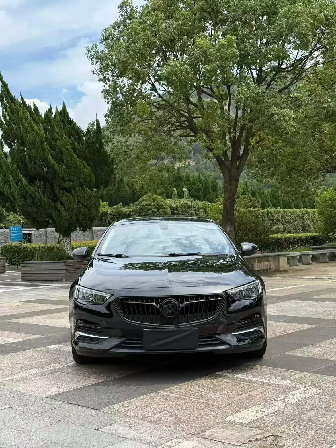 Buick Majesty