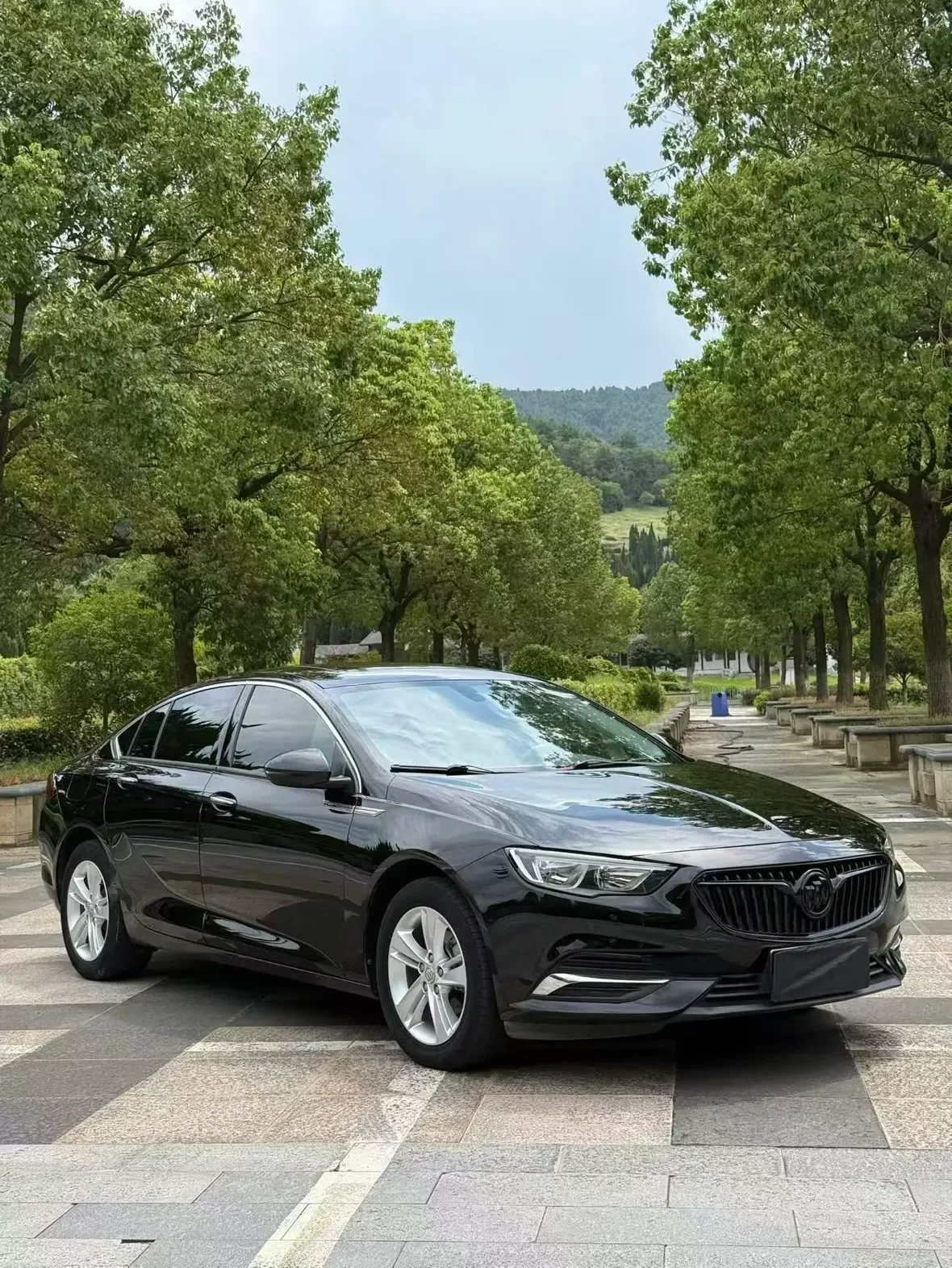 Buick Majesty