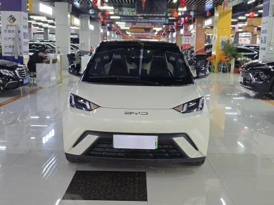 BYD Seagull