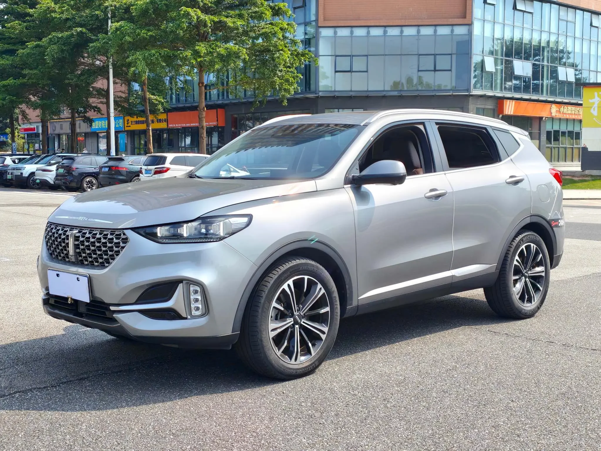 Wey Wei brand VV6