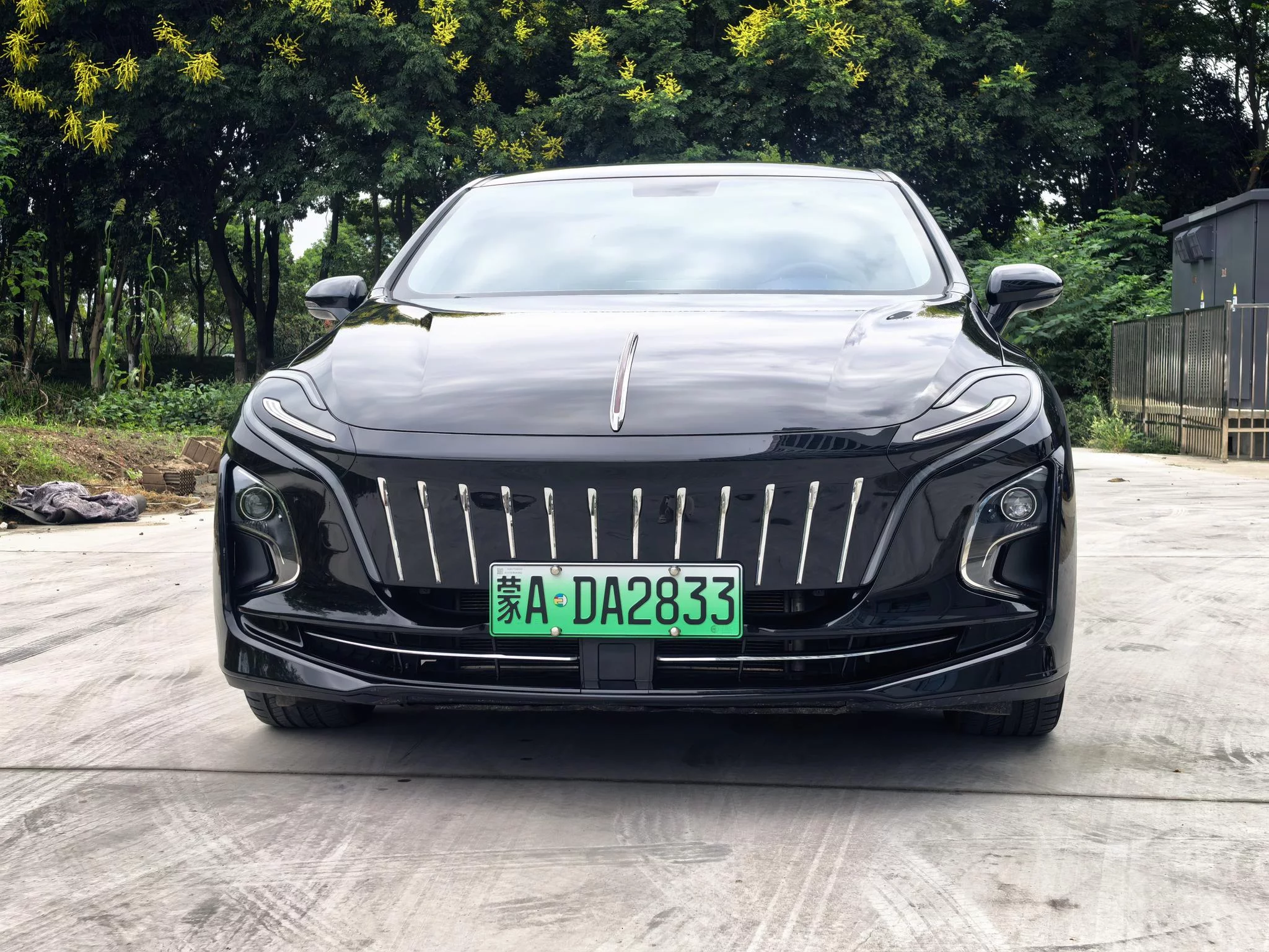 Hongqi E-QM5