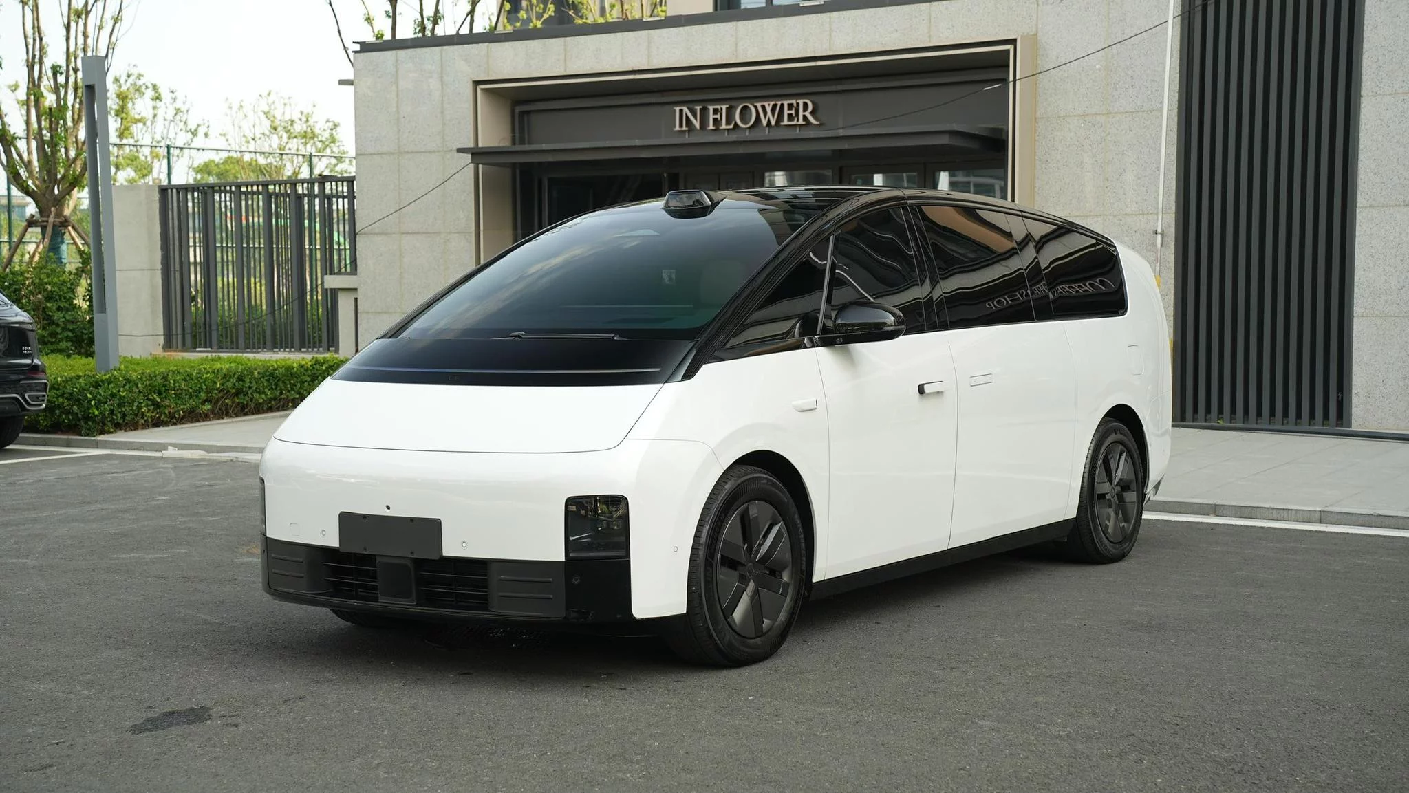 Li MEGA