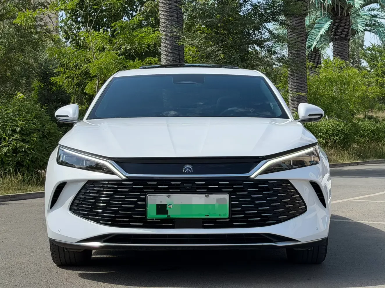 BYD Qin L DM