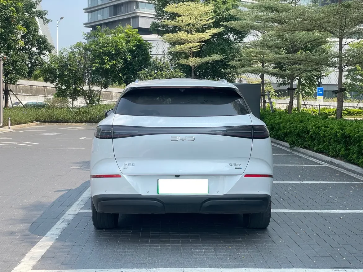 BYD Sea Lion 06EV