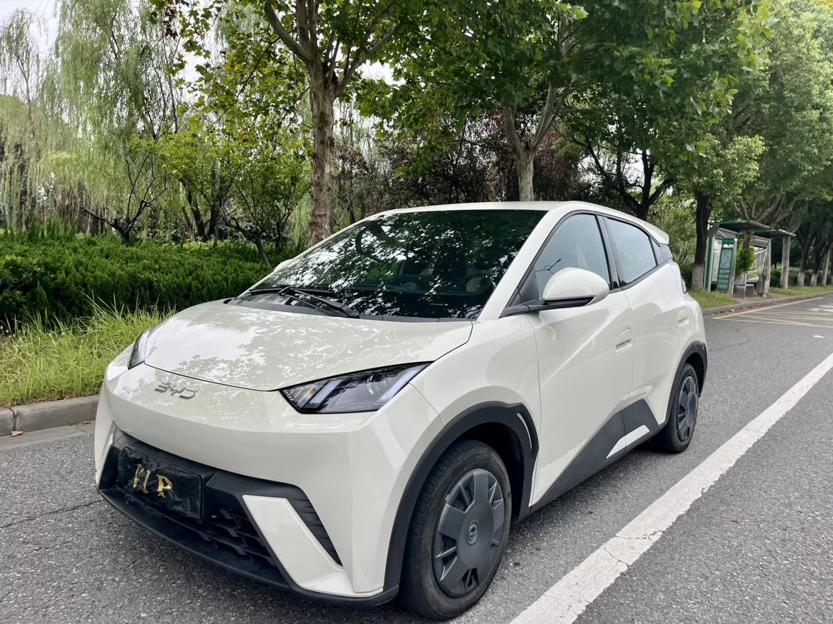 BYD Seagull