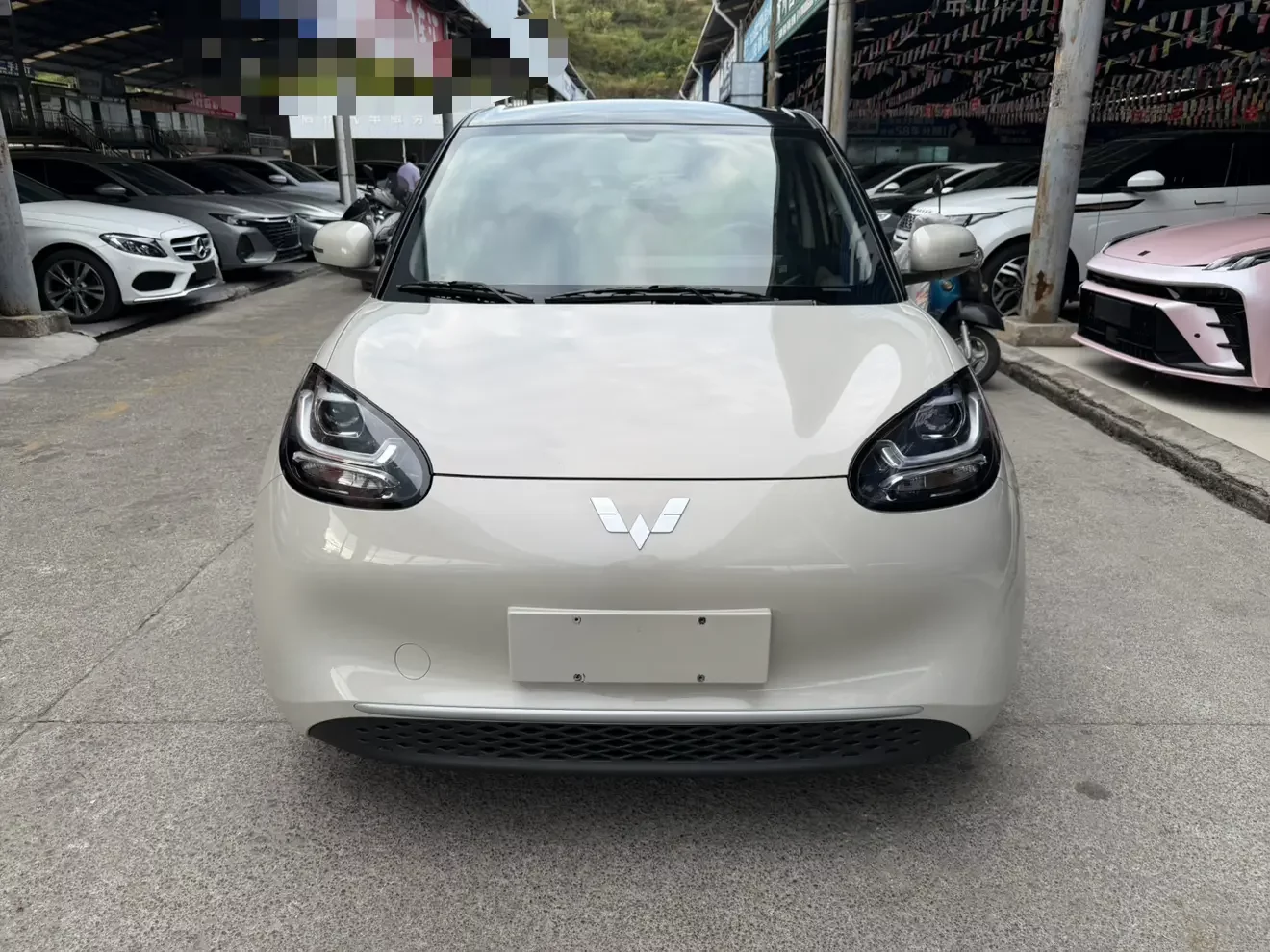 Wuling Bingo