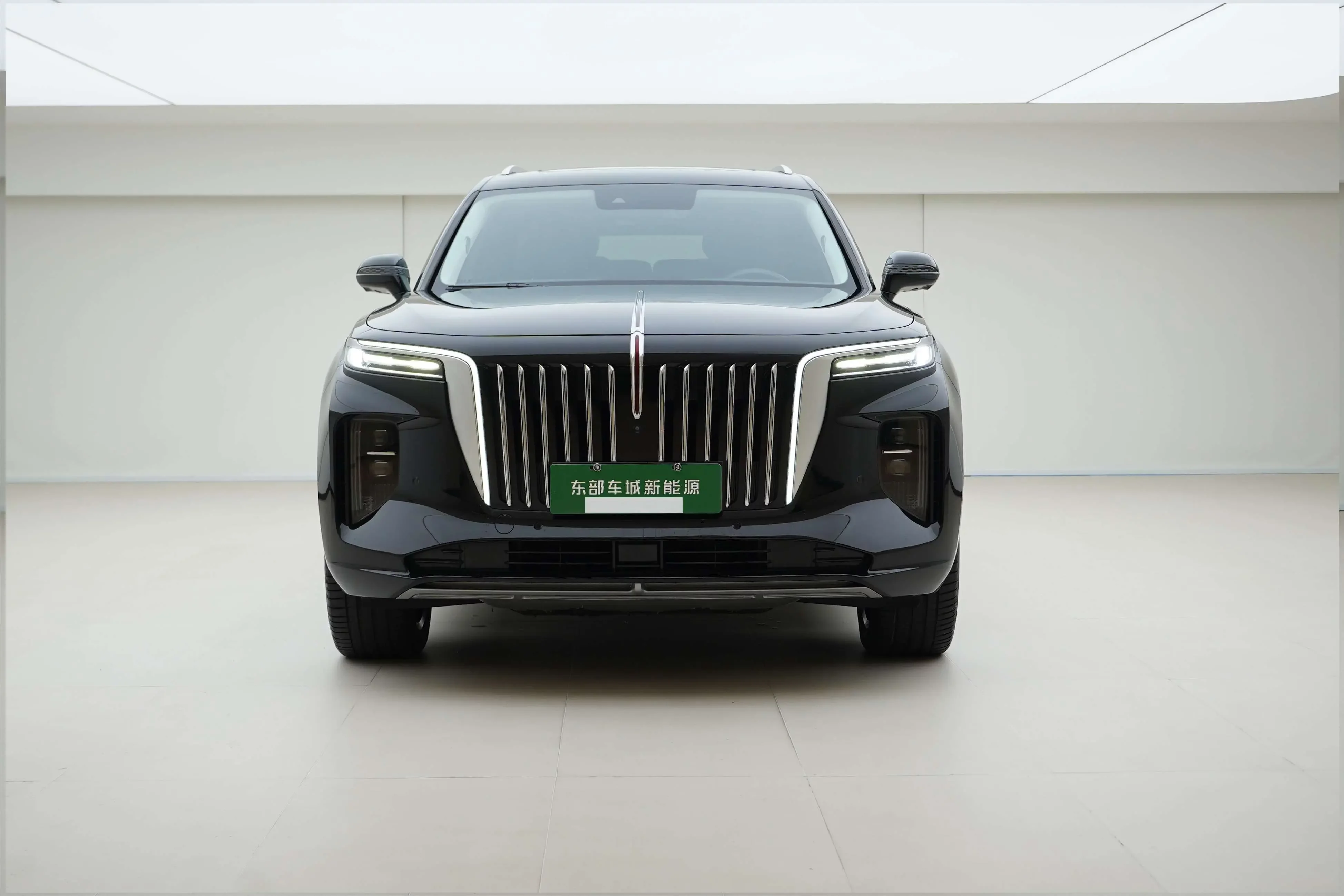 Hongqi E-HS9