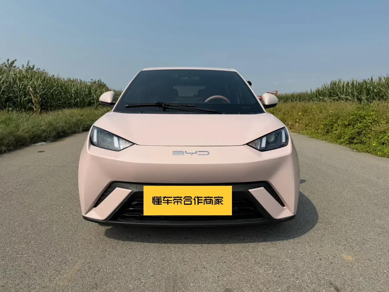 BYD Seagull
