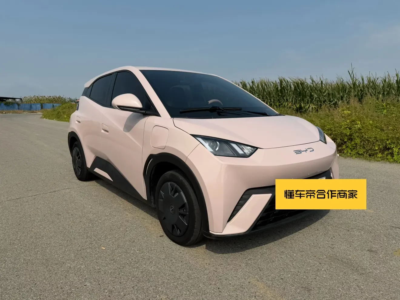 BYD Seagull