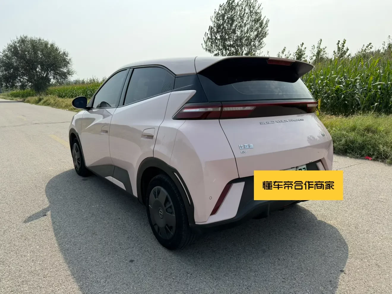 BYD Seagull
