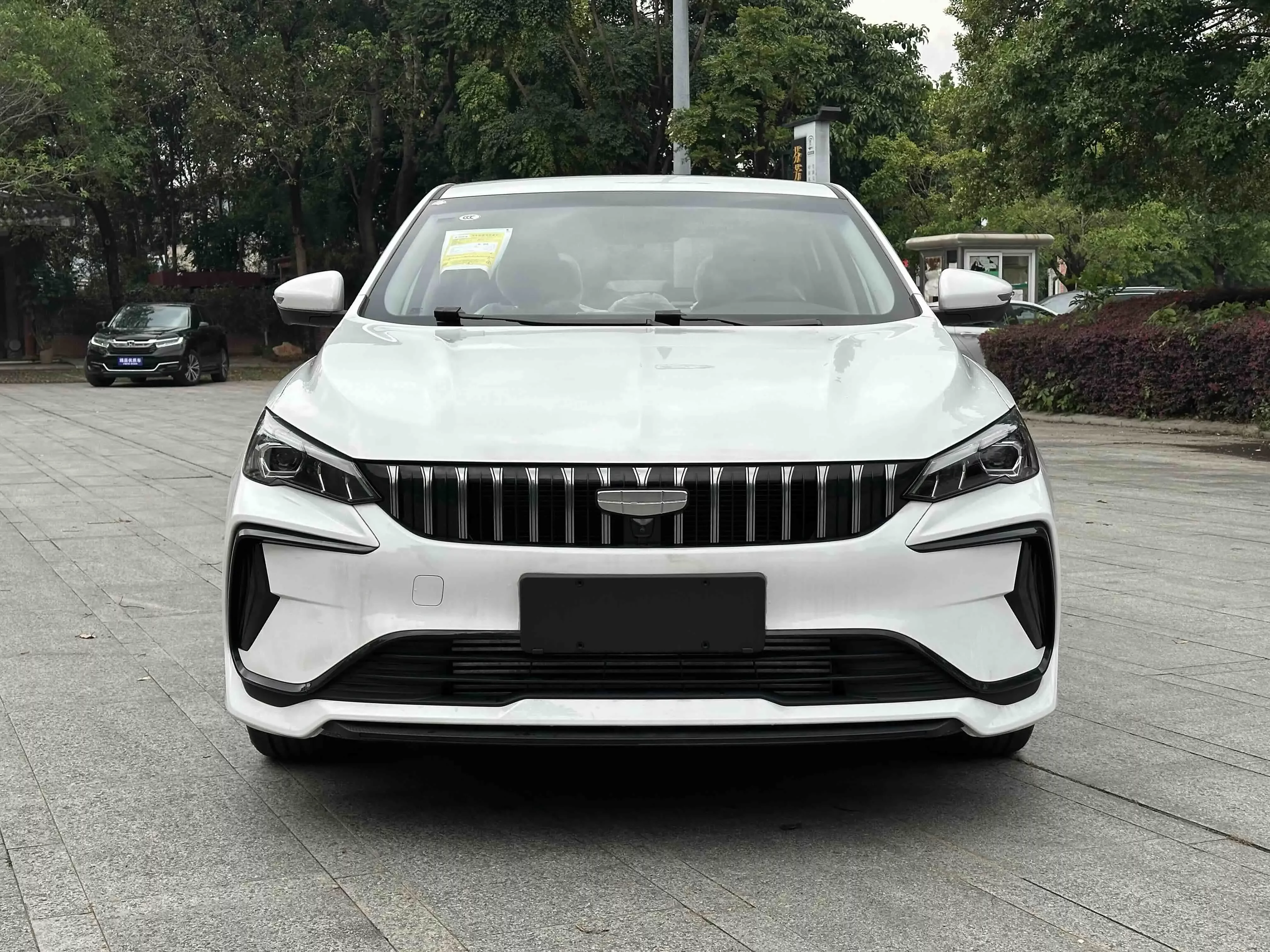 Geely Binrui