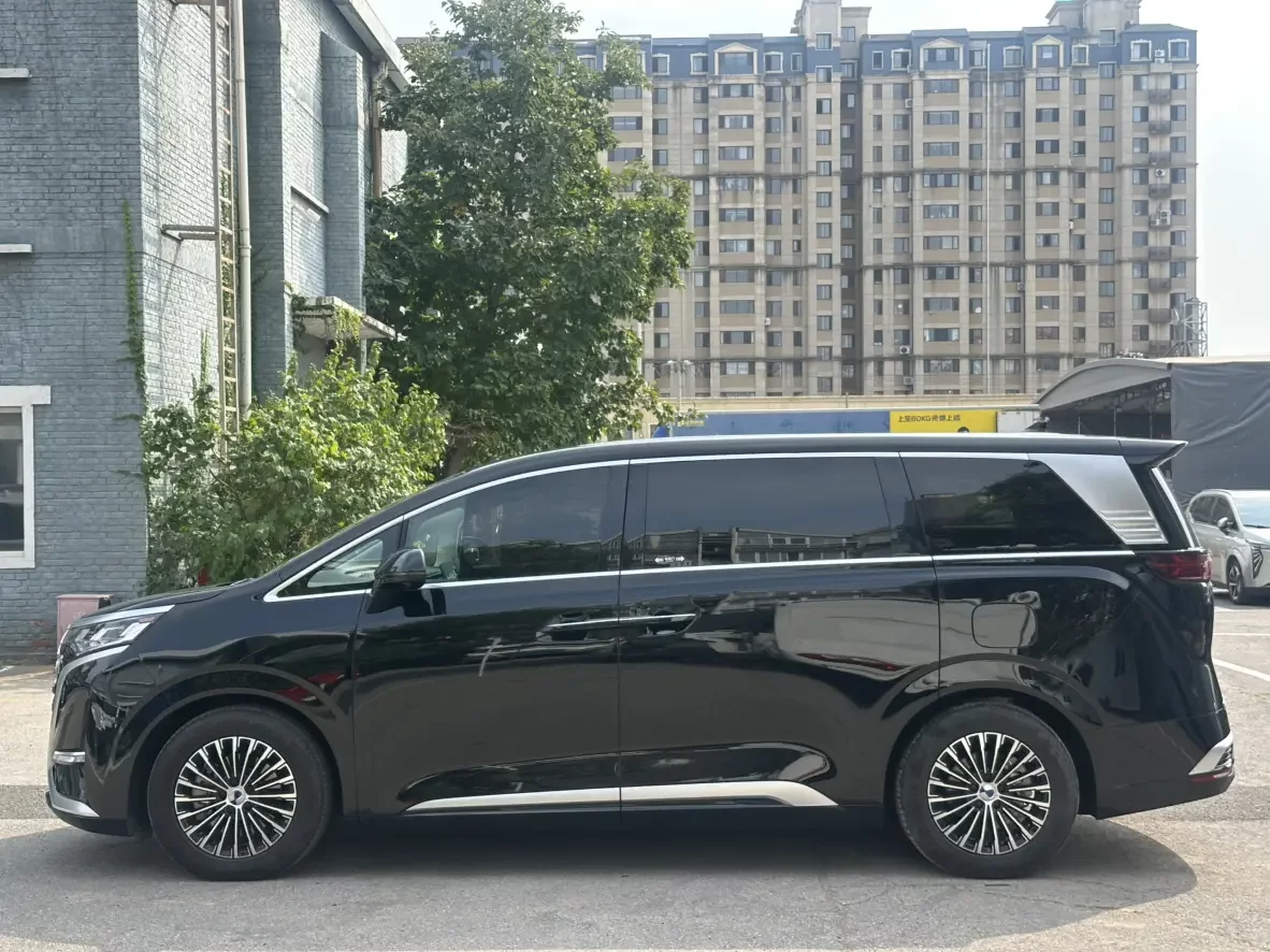 Denza D9 DM