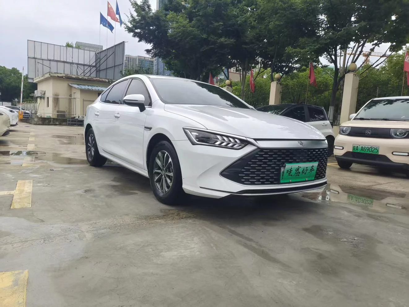 BYD Qin PLUS DM