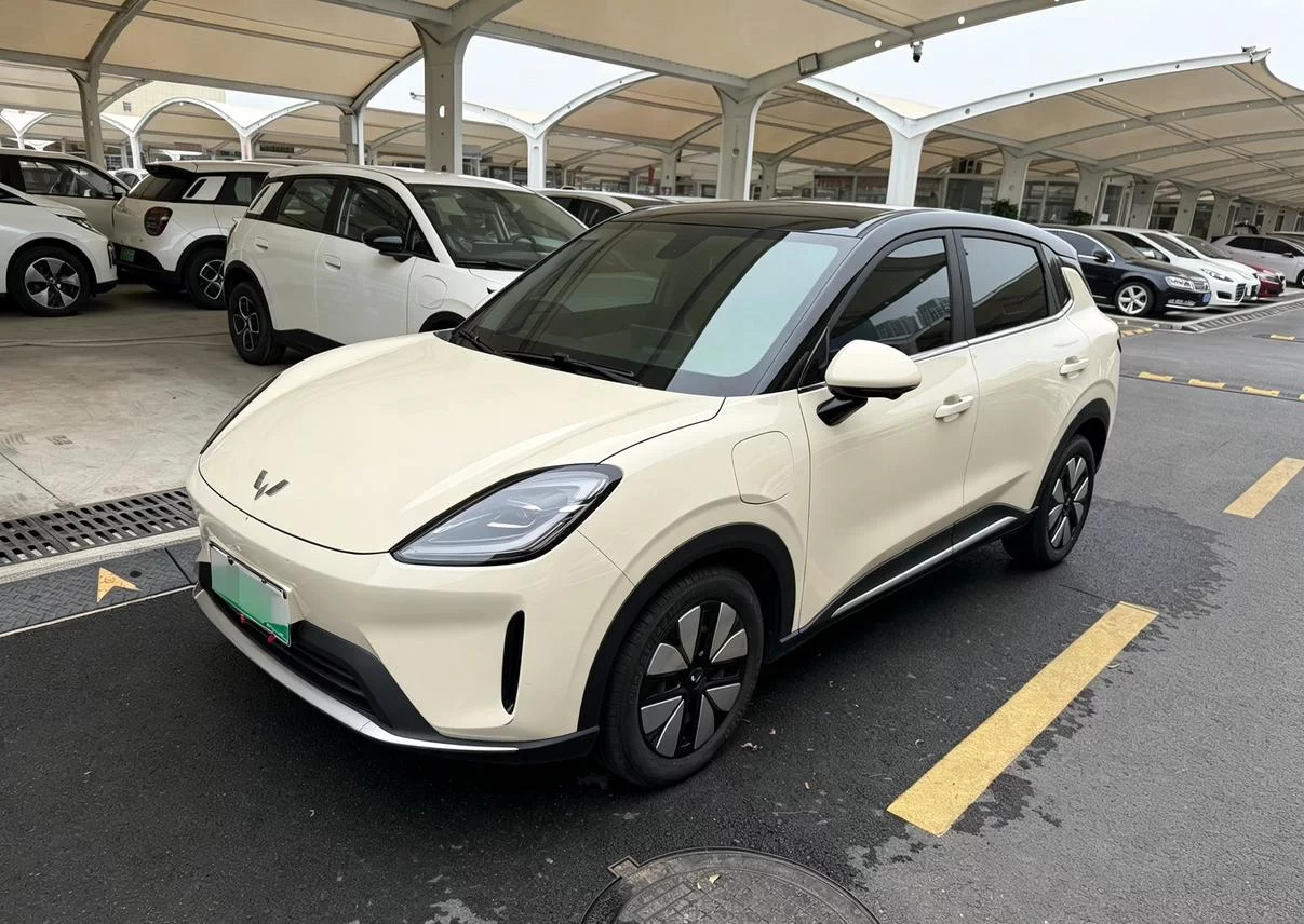 Wuling Bingo S