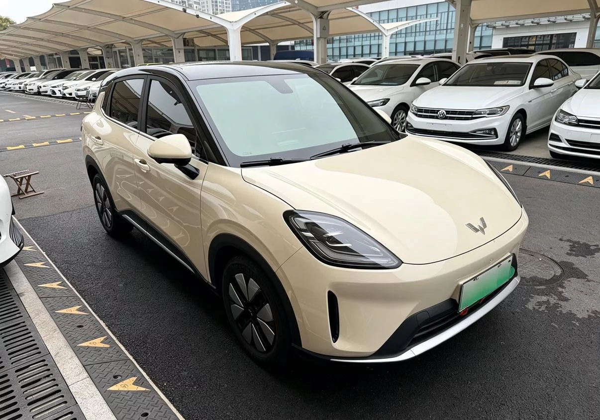 Wuling Bingo S