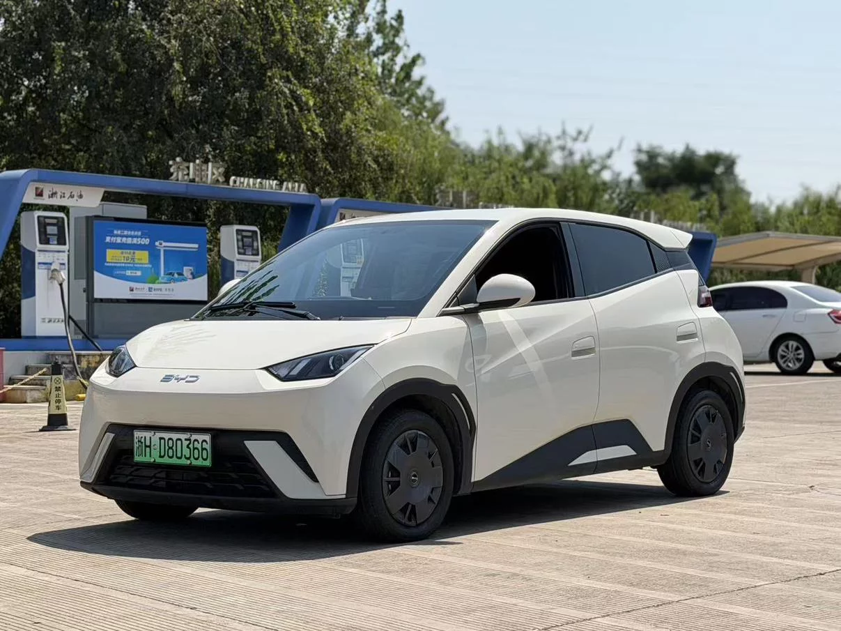 BYD Seagull