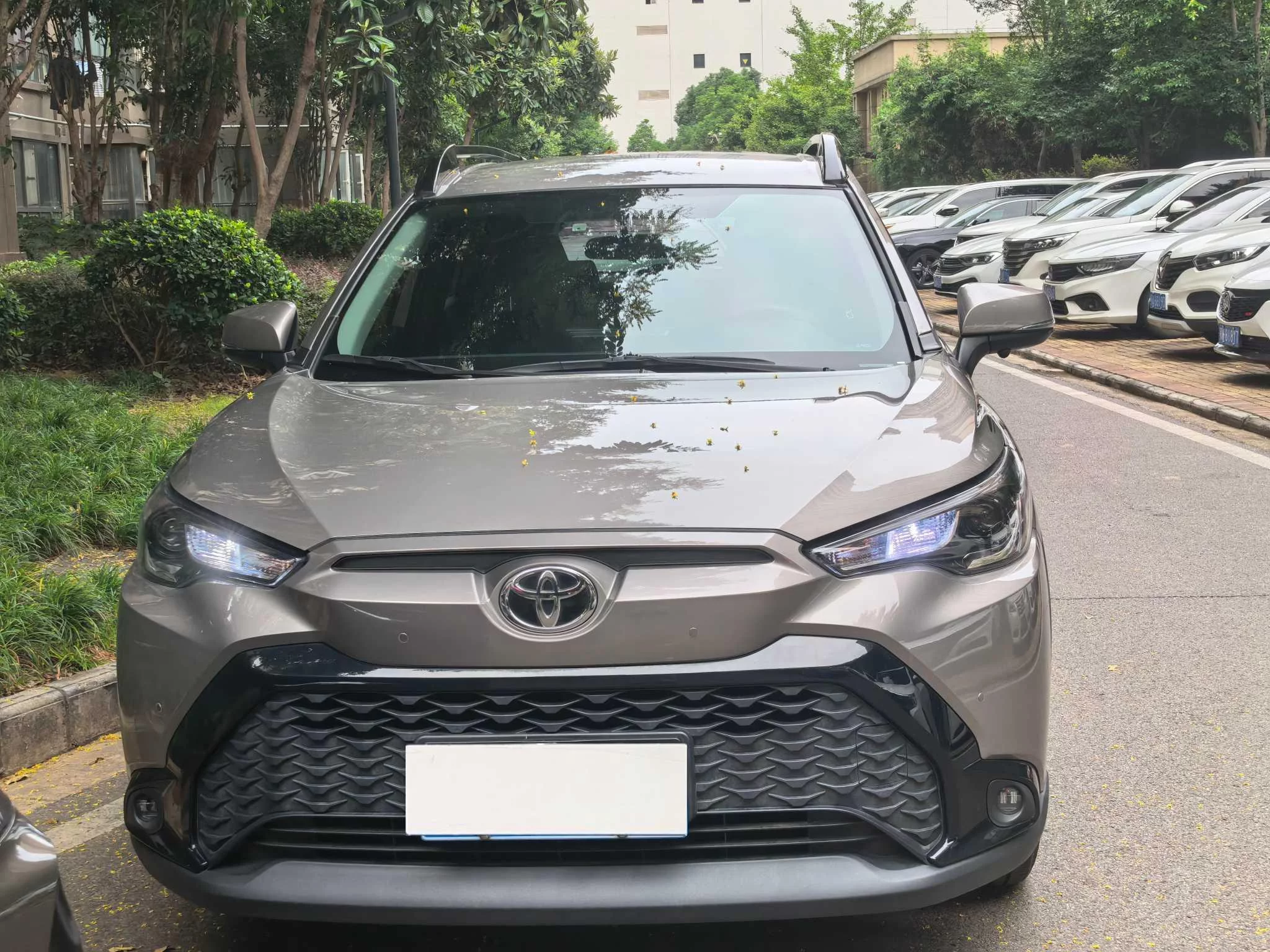 Toyota Frontlander