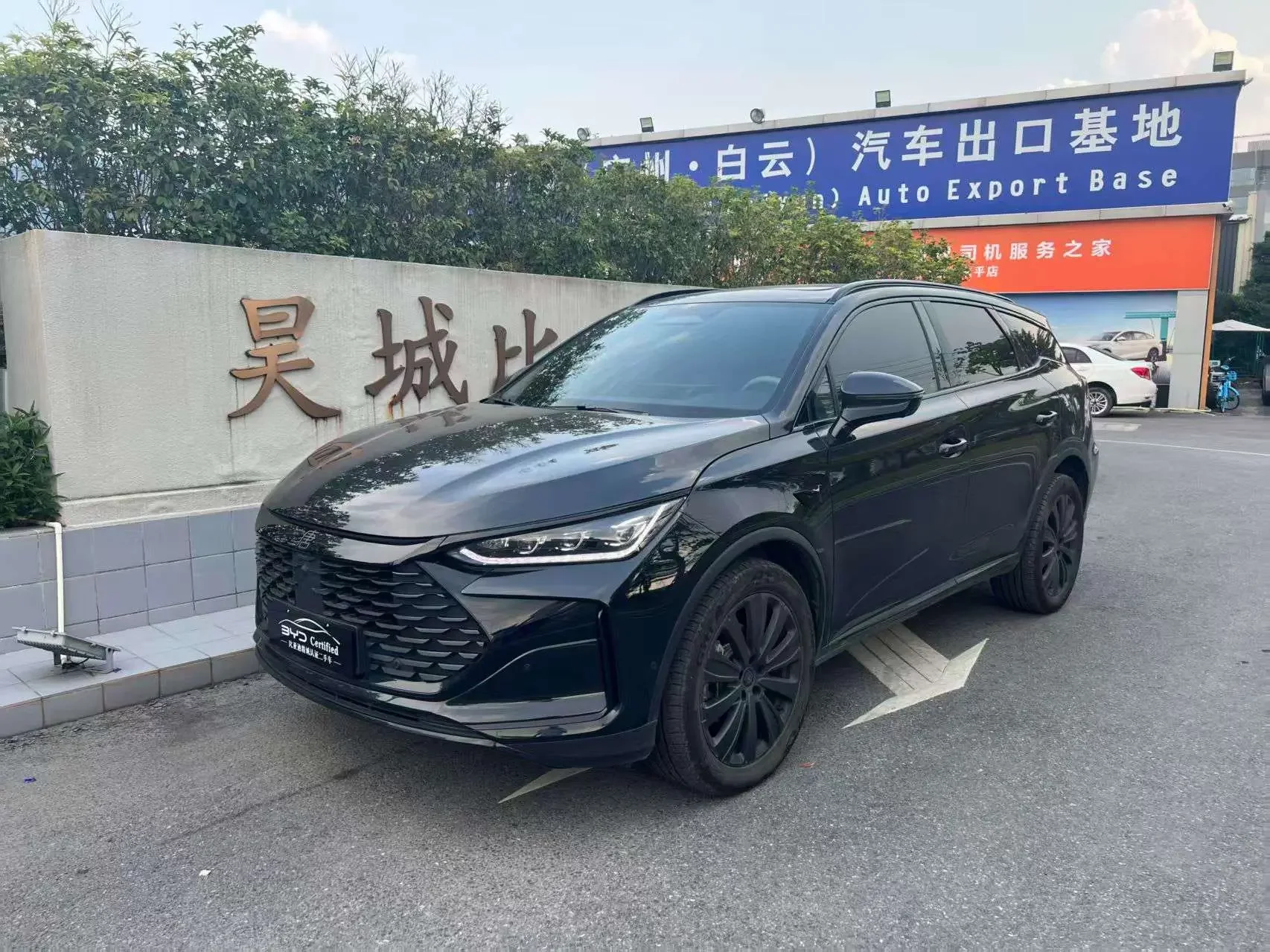 BYD Tang DM