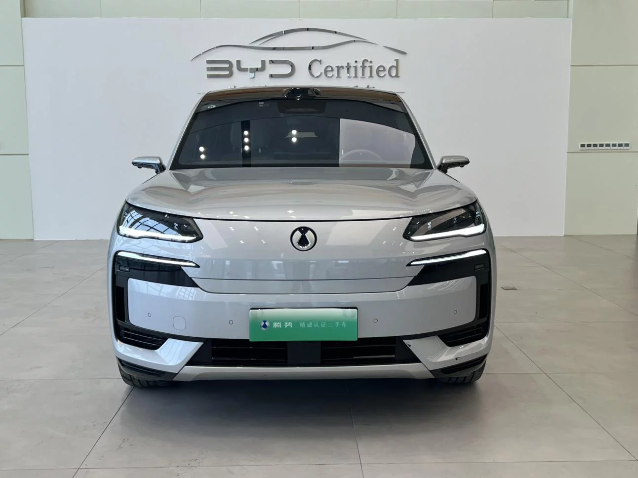Denza Tengzhong N9 DM