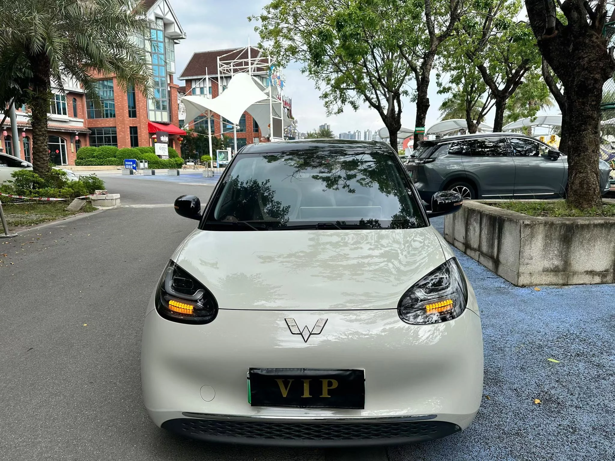 Wuling Bingo