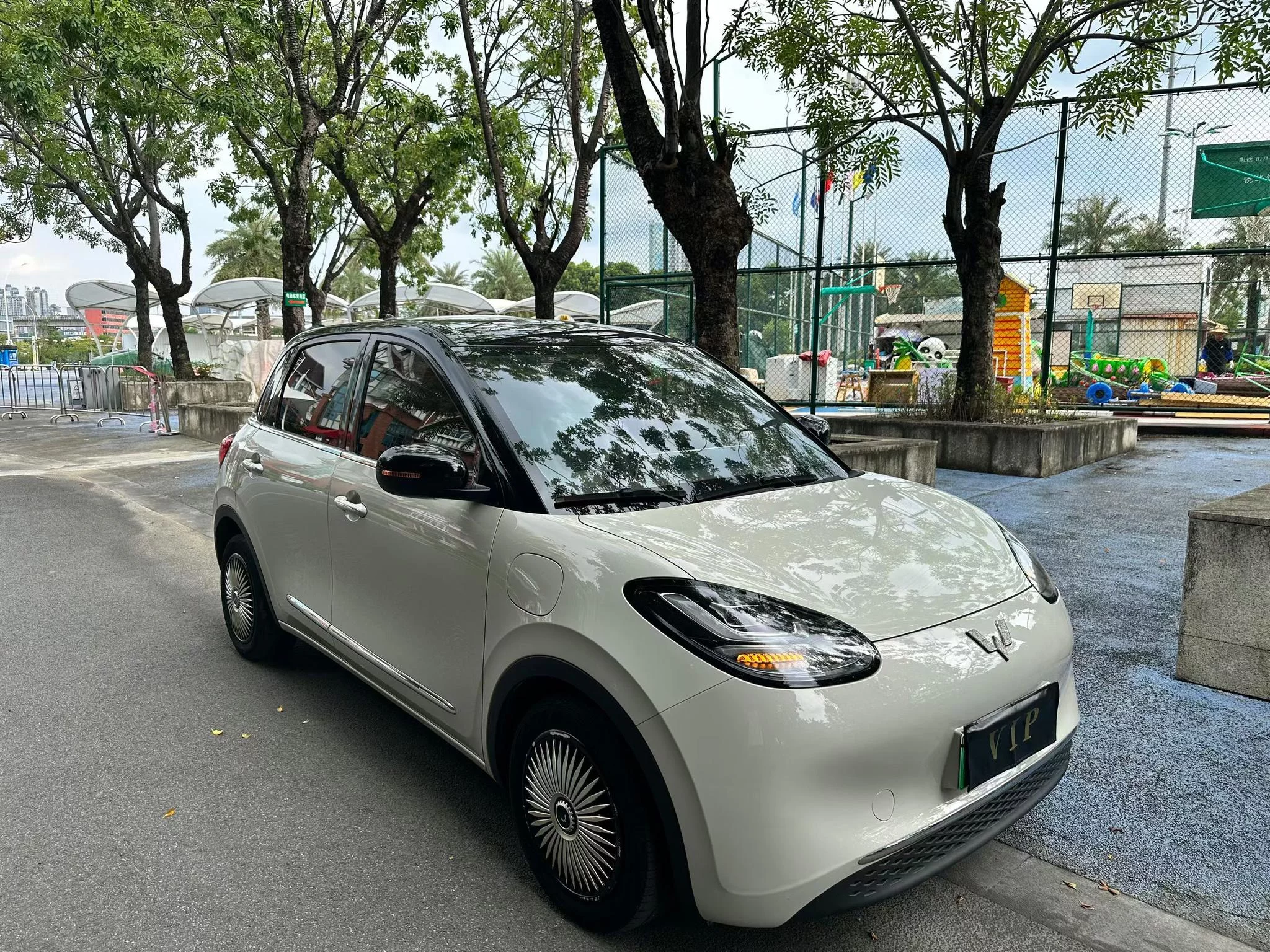 Wuling Bingo
