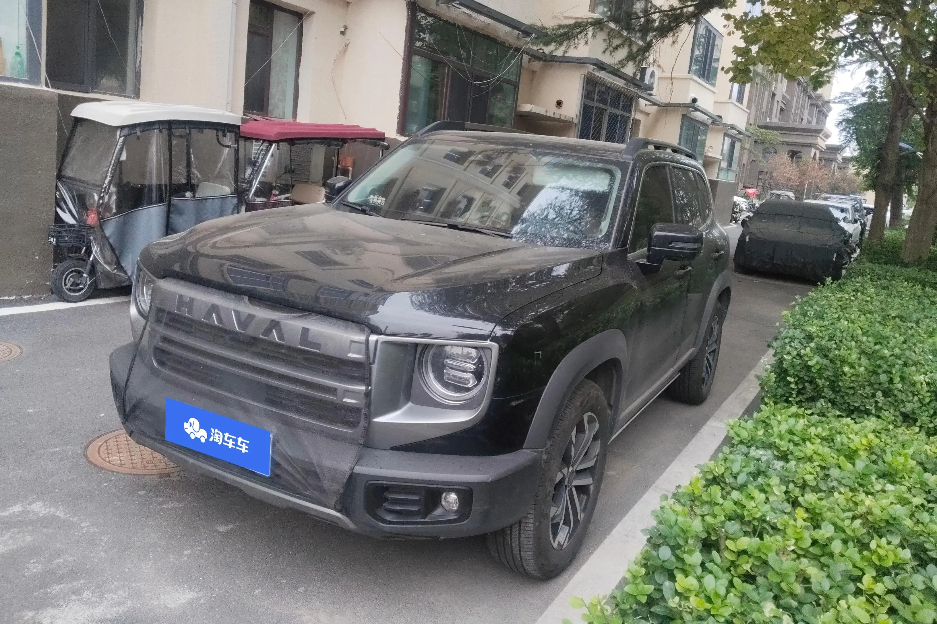 Haval Dargo