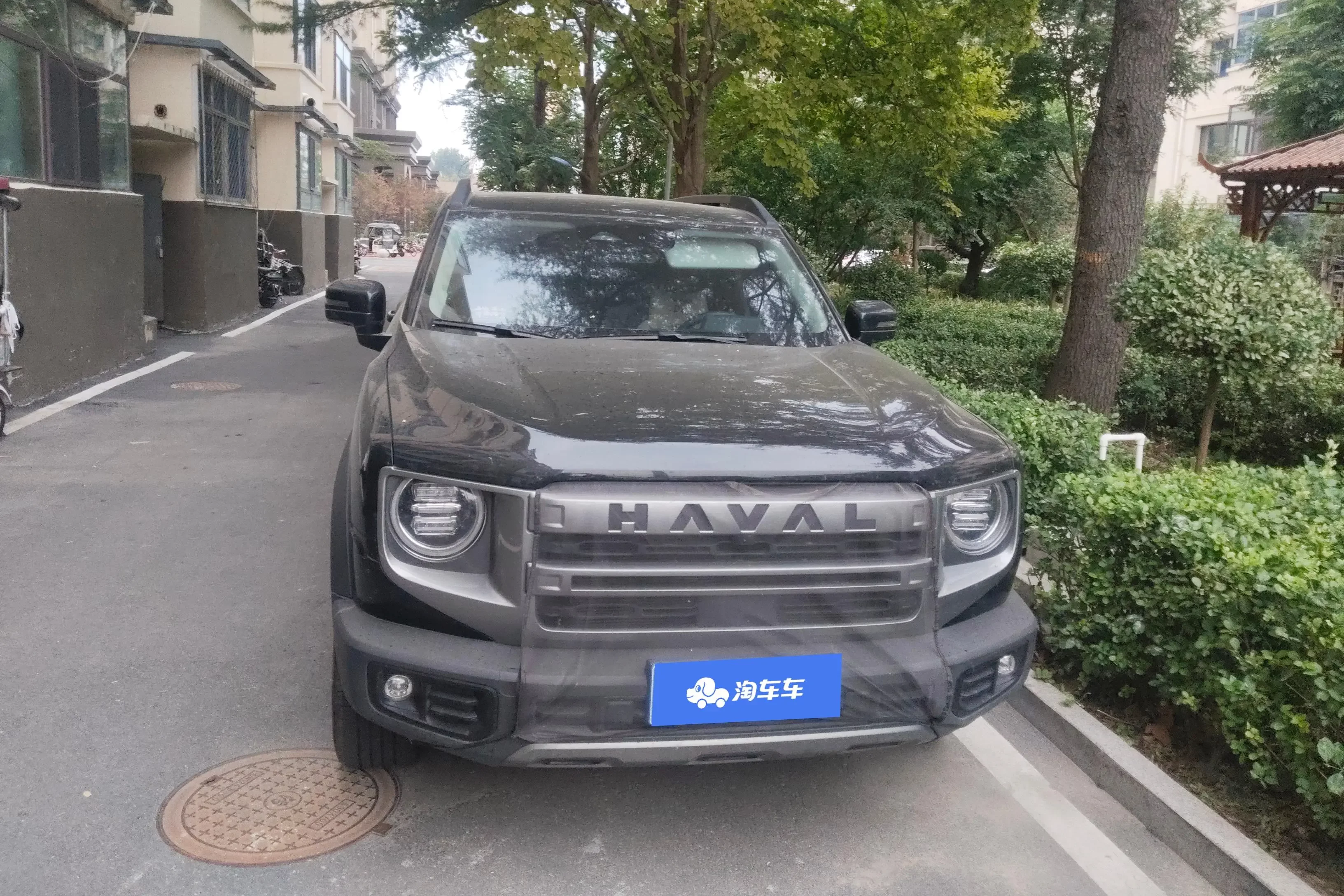 Haval Dargo