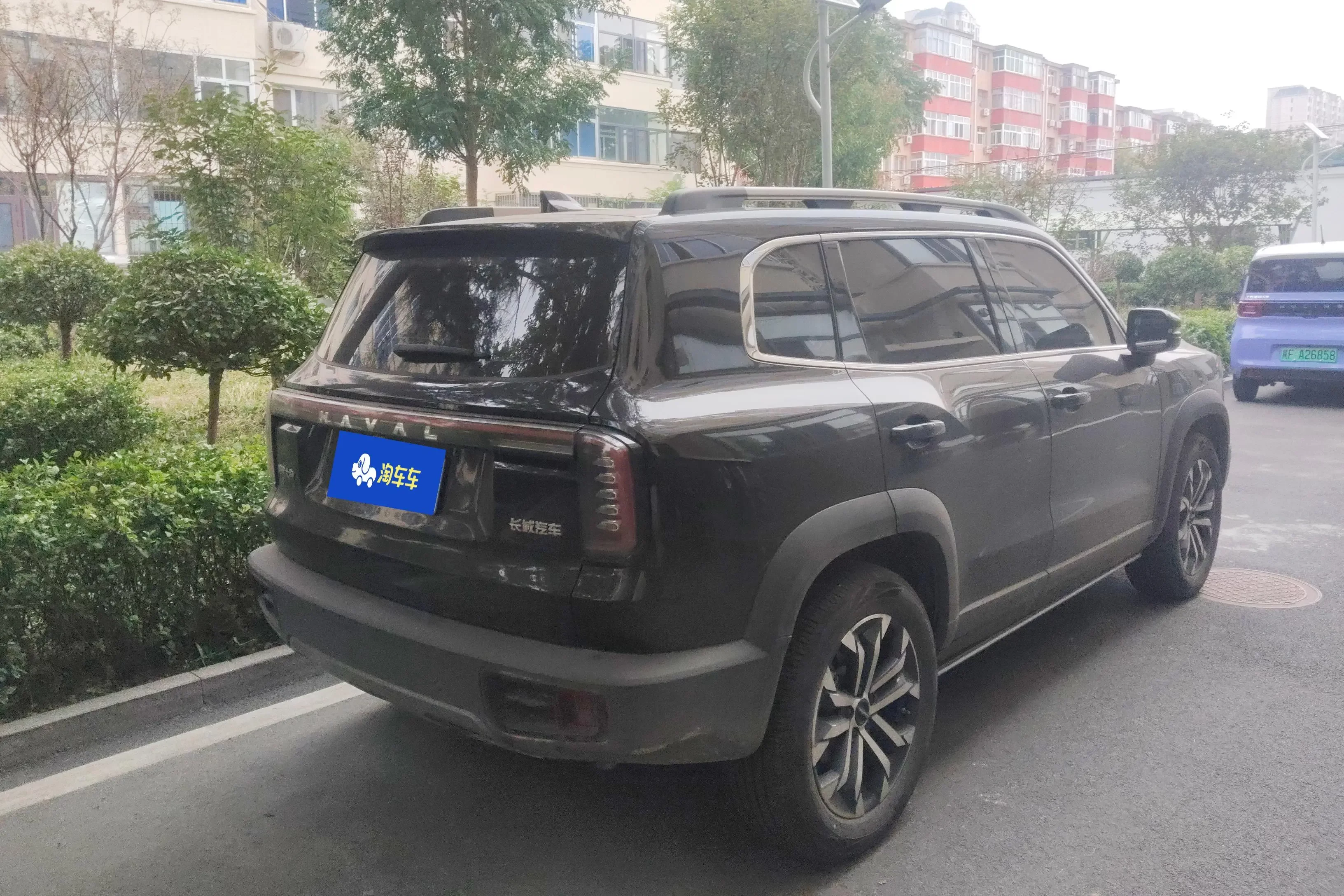 Haval Dargo