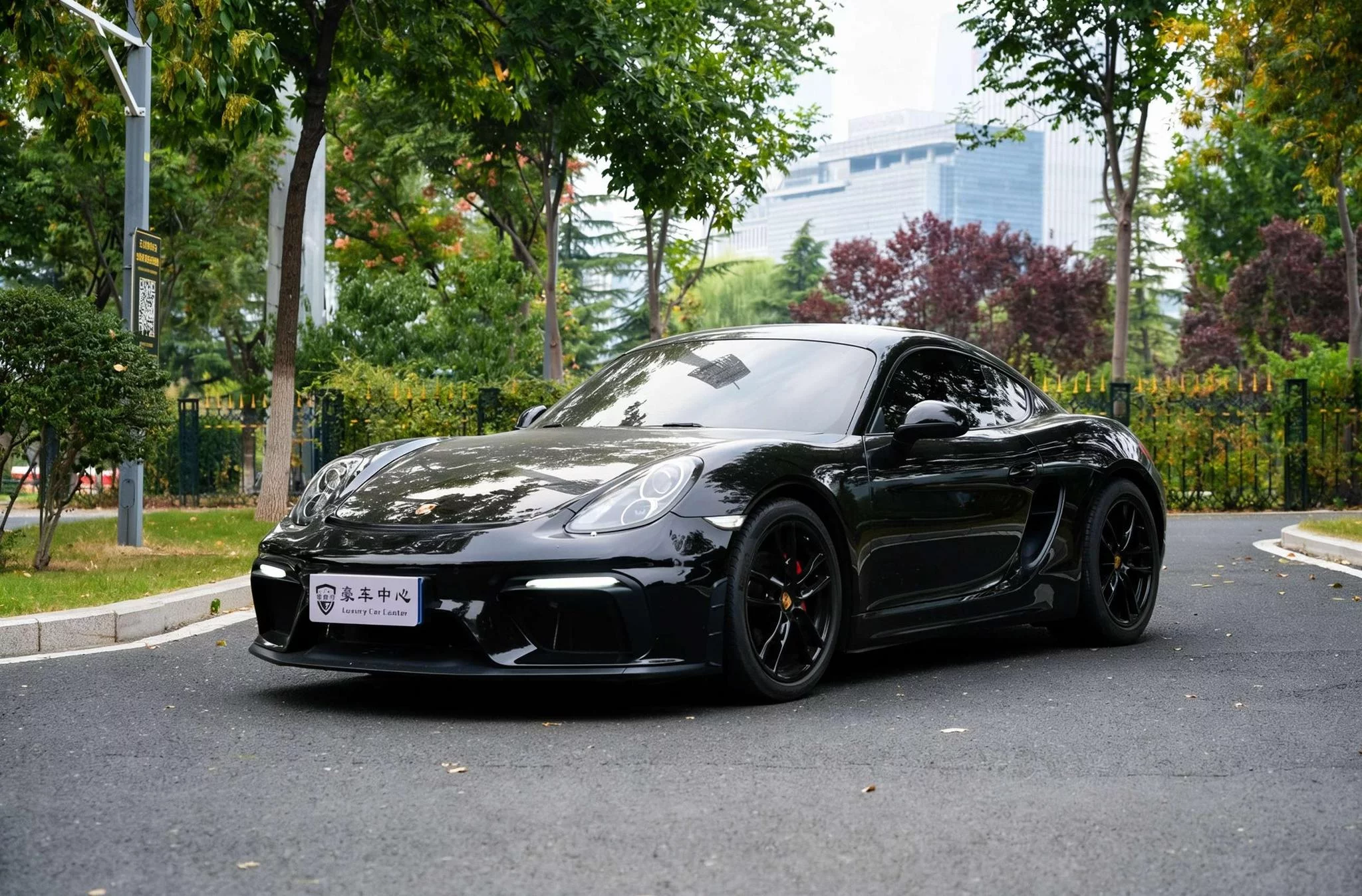 Porsche Cayman
