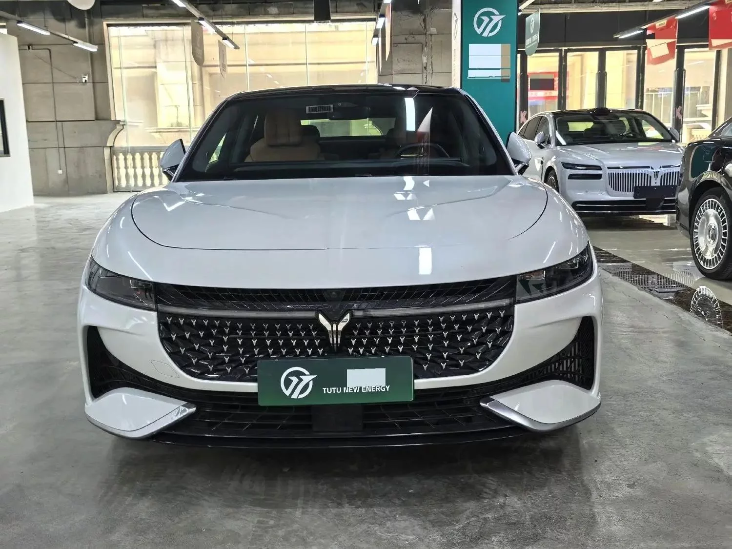 Voyah Passion PHEV