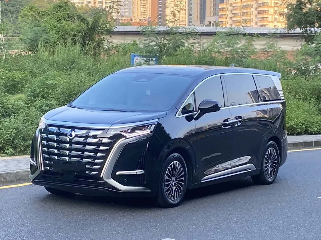 Denza D9 DM