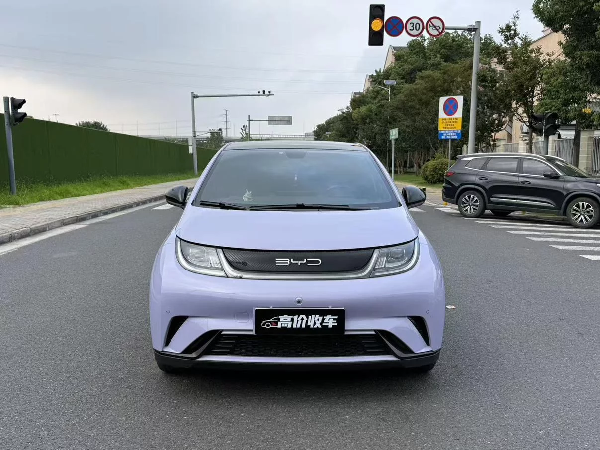 BYD Dolphin