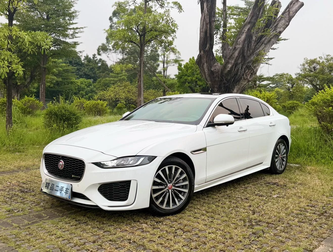 Jaguar XEL