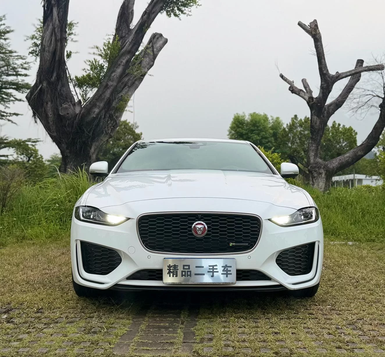 Jaguar XEL