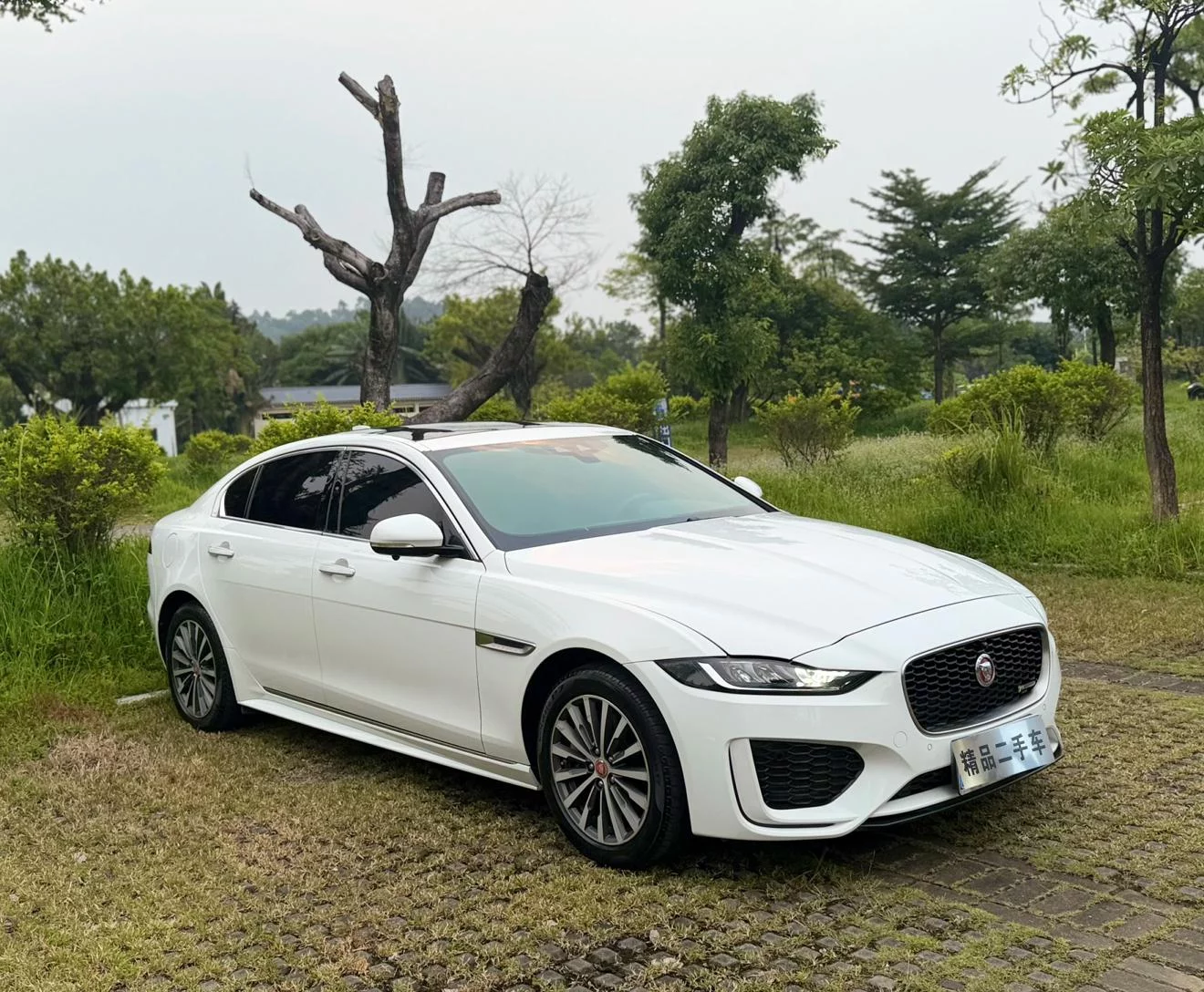 Jaguar XEL
