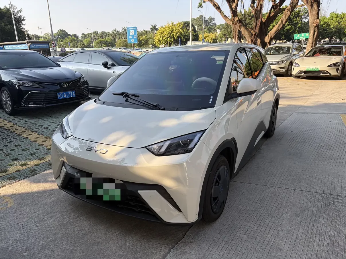 BYD Seagull