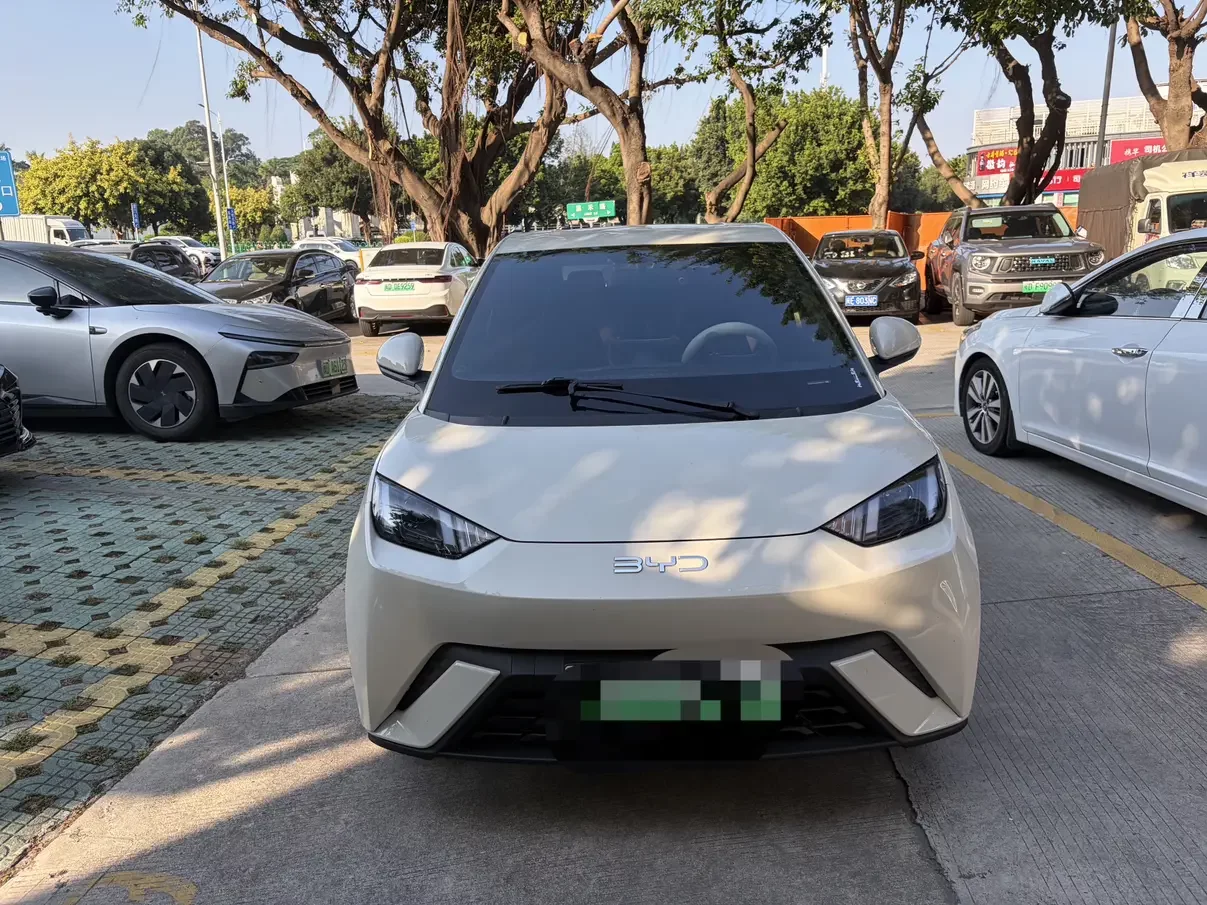 BYD Seagull