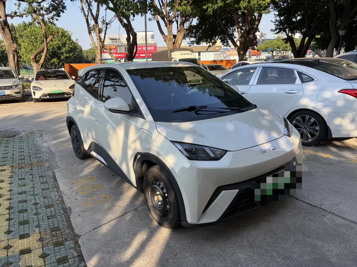 BYD Seagull