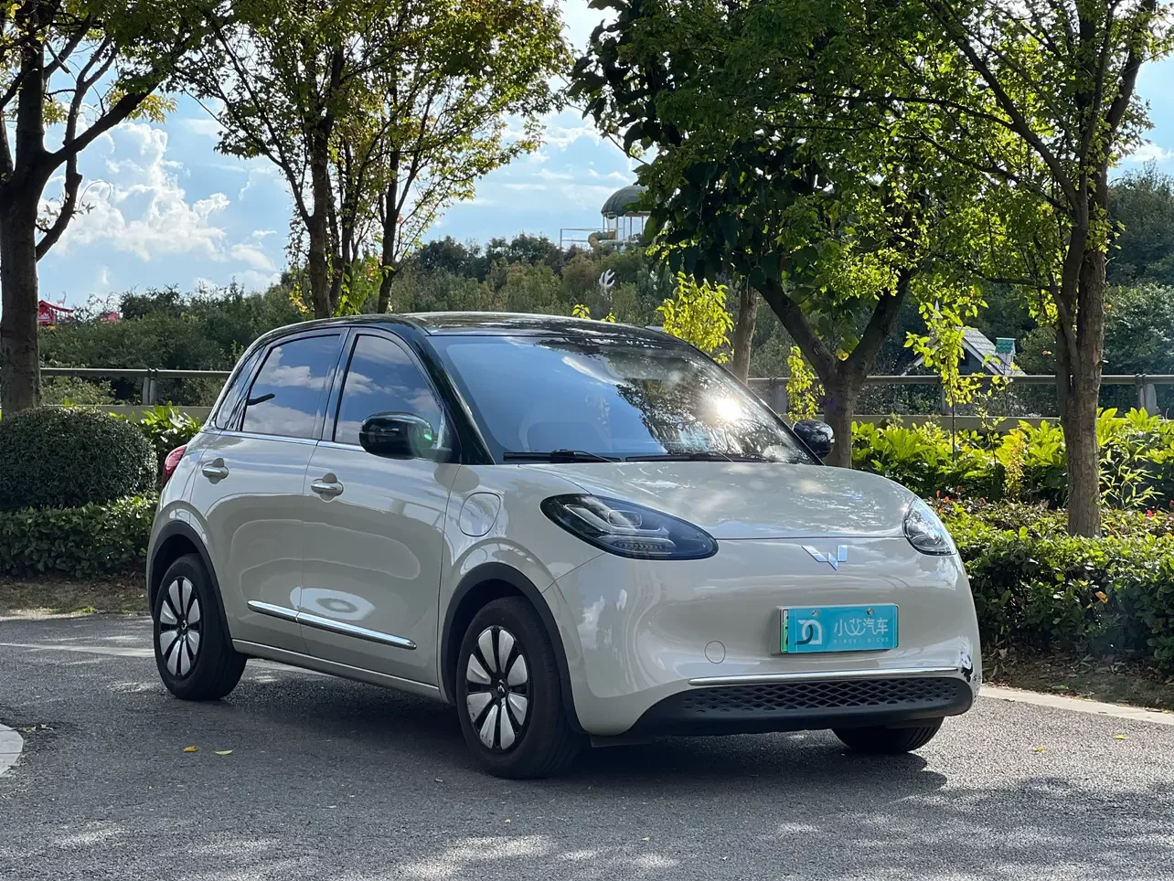 Wuling Bingo