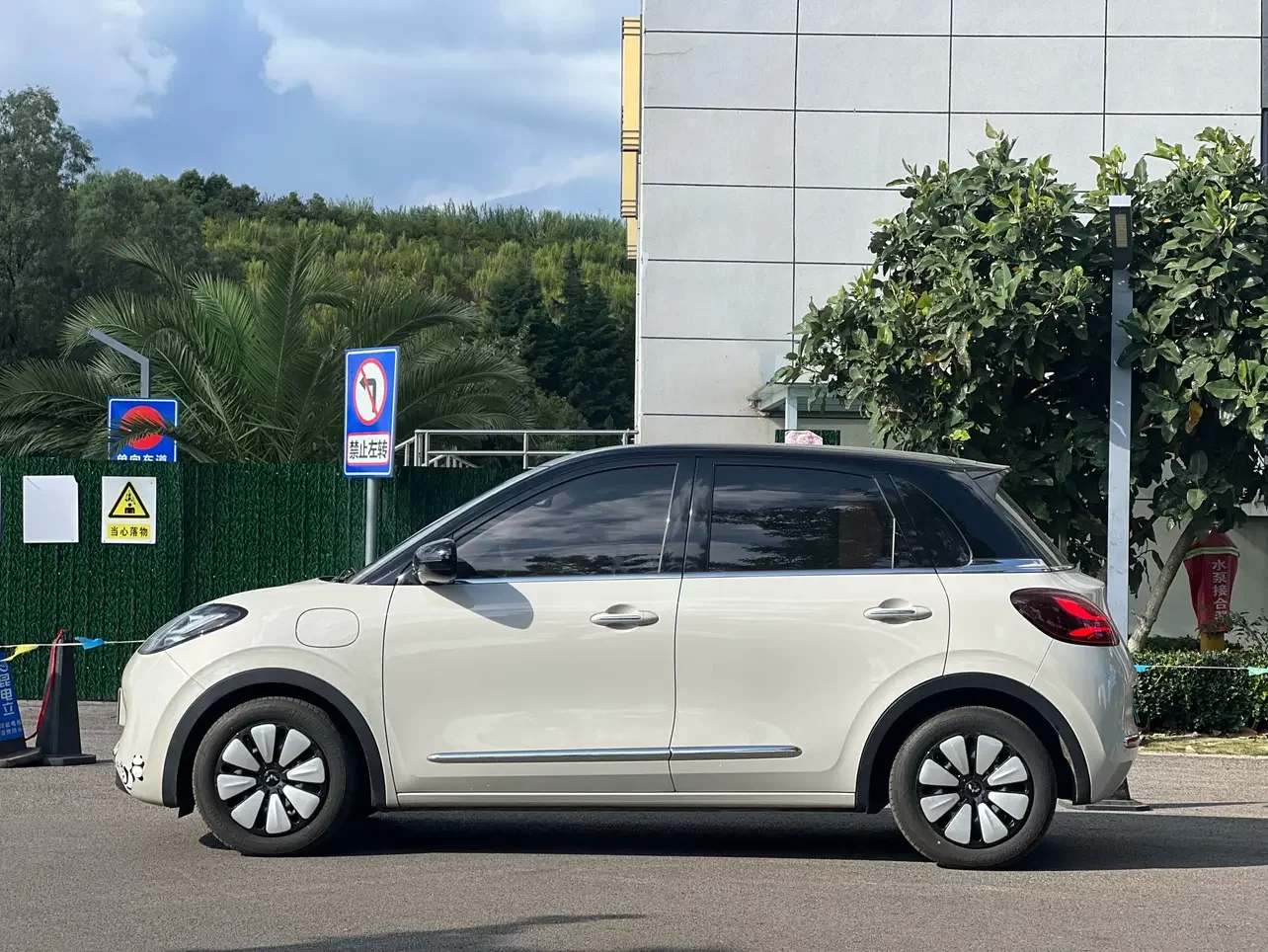 Wuling Bingo