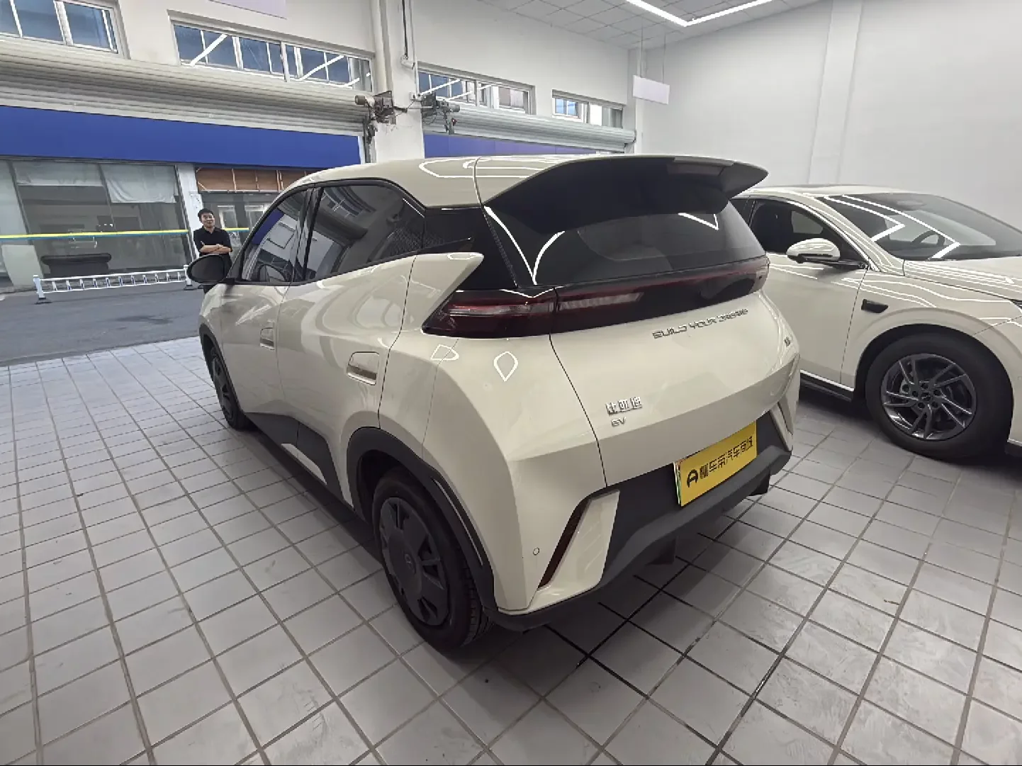 BYD Seagull