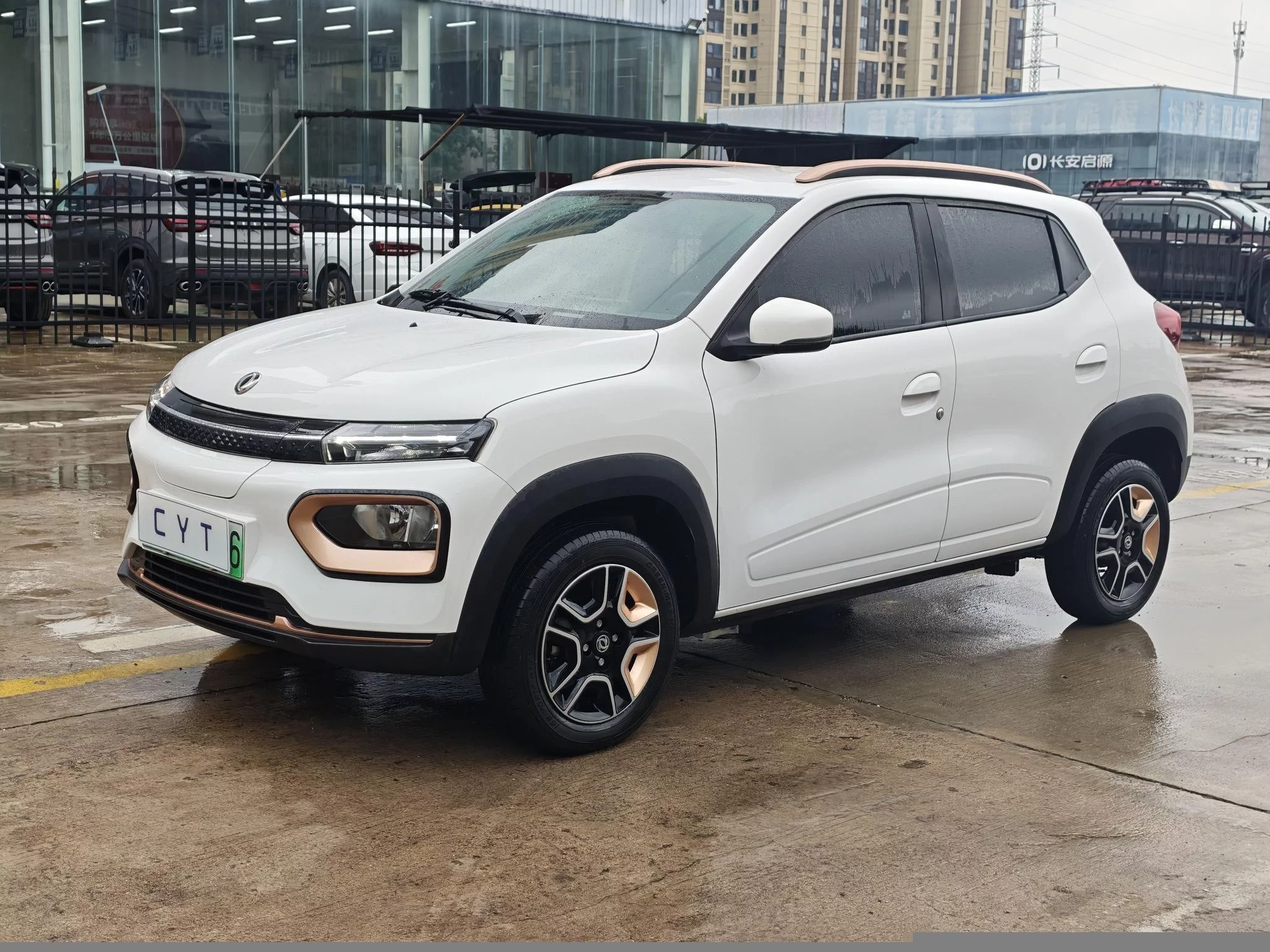 Dongfeng Nano EX1