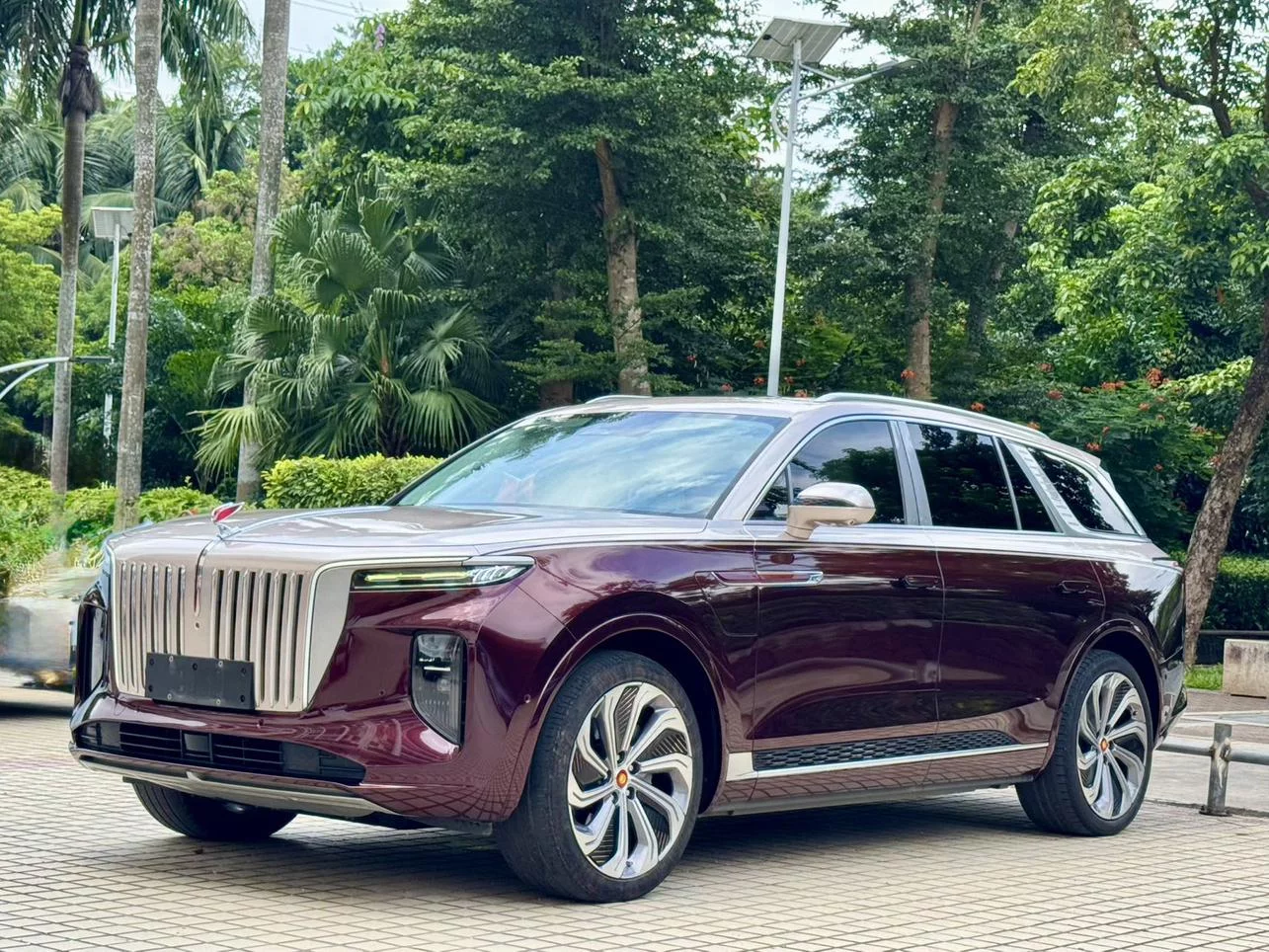 Hongqi E-HS9